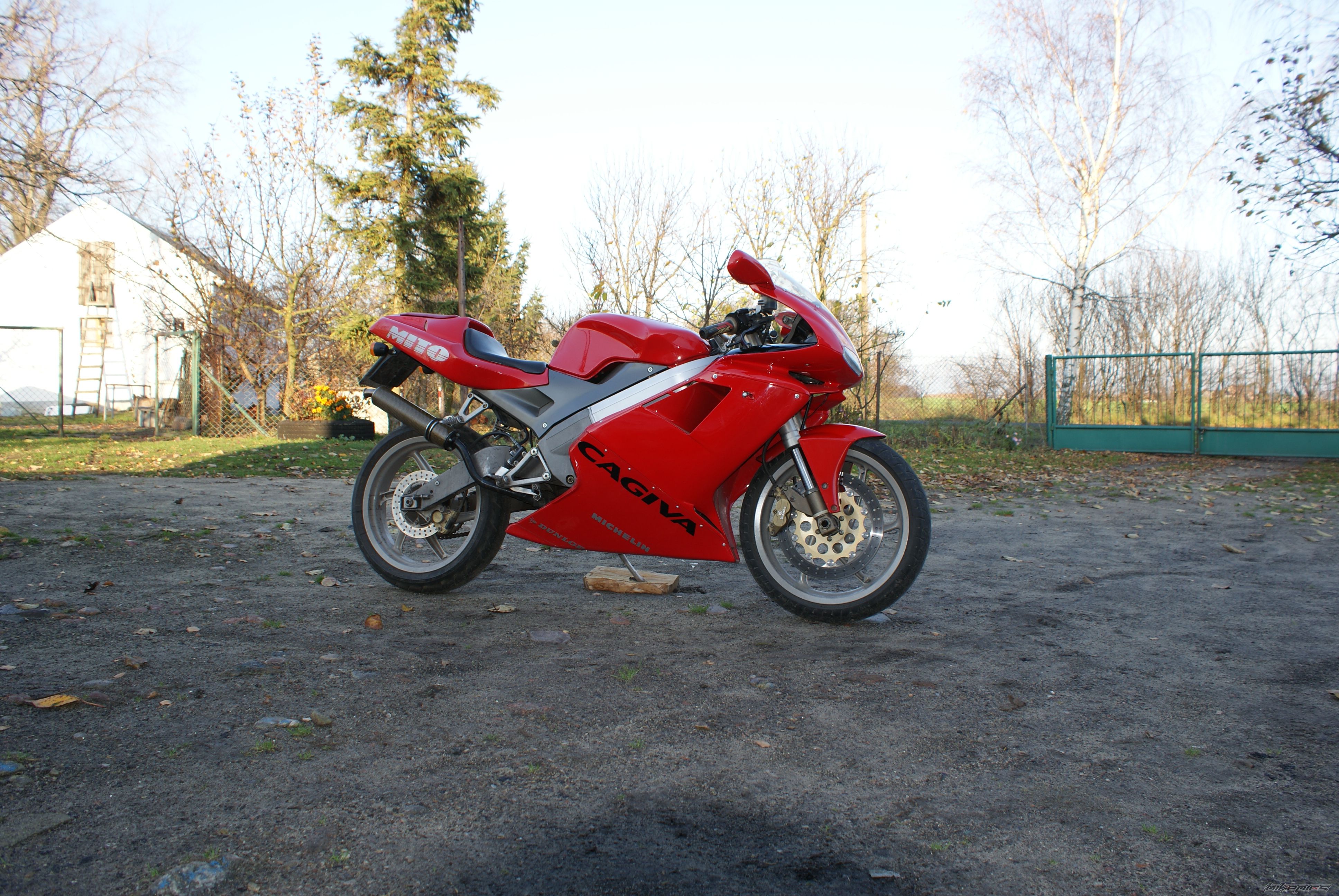 Photo 1477025