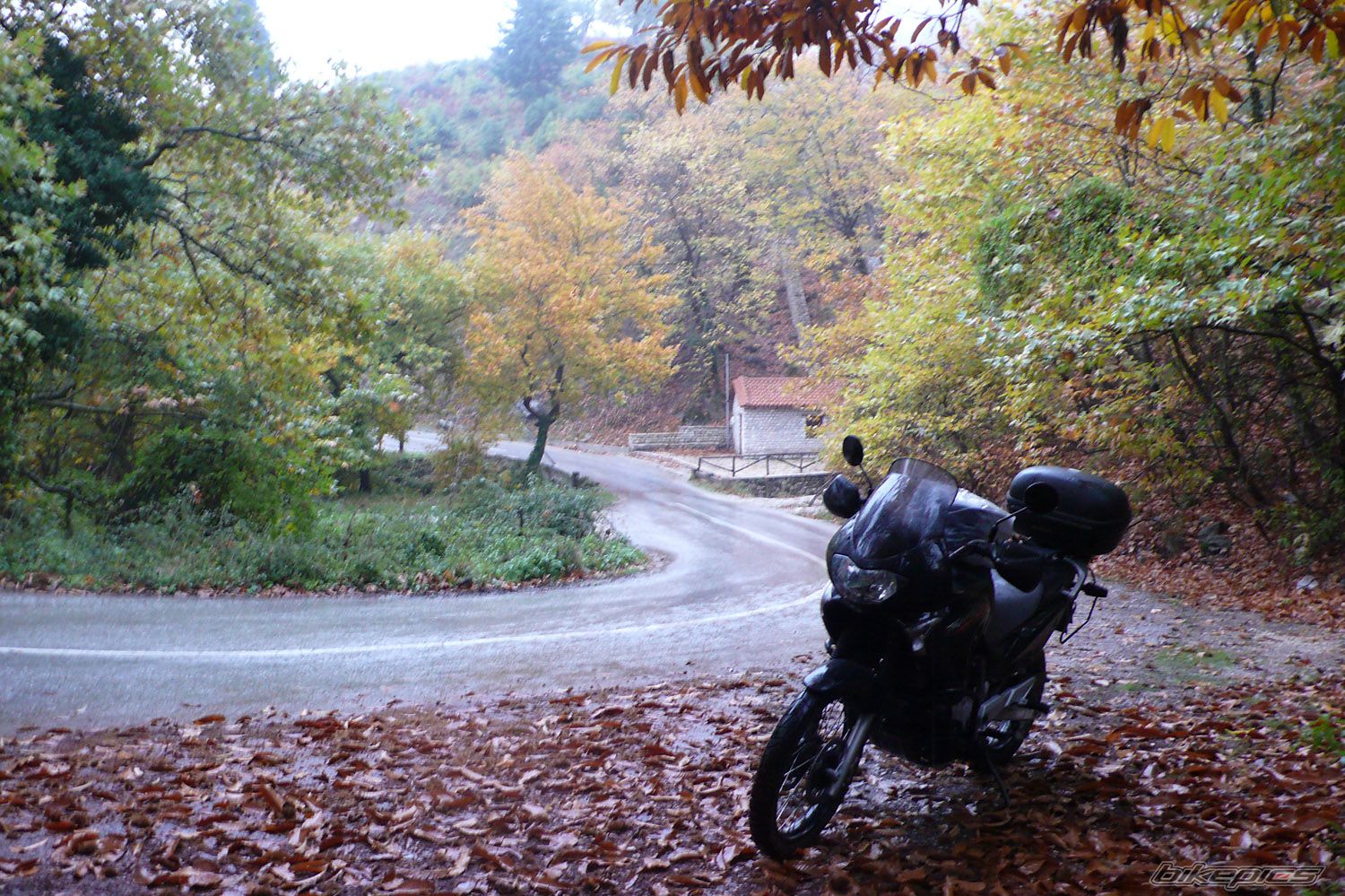 Bike Photo 1477038