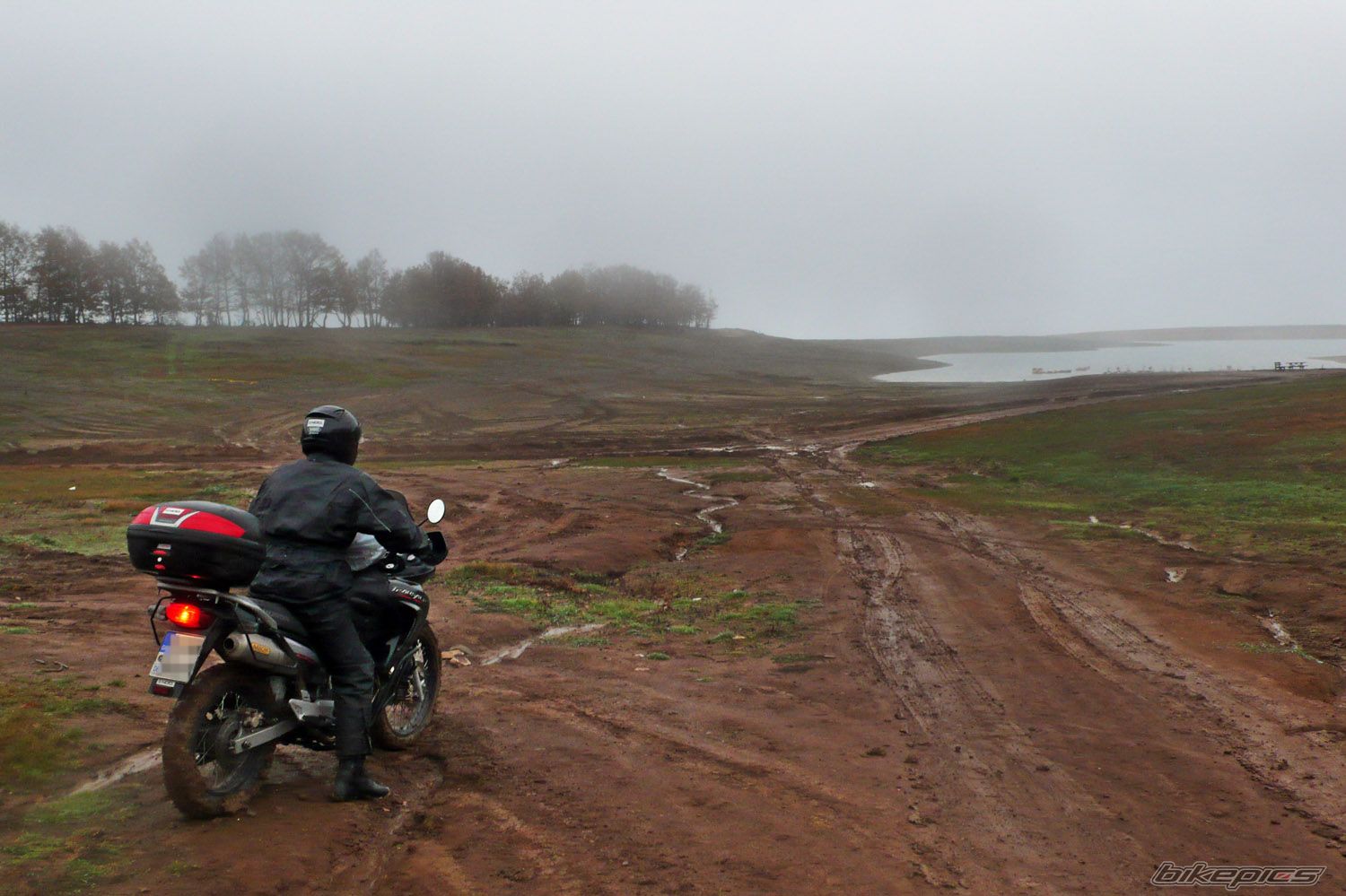 Photo 1477054