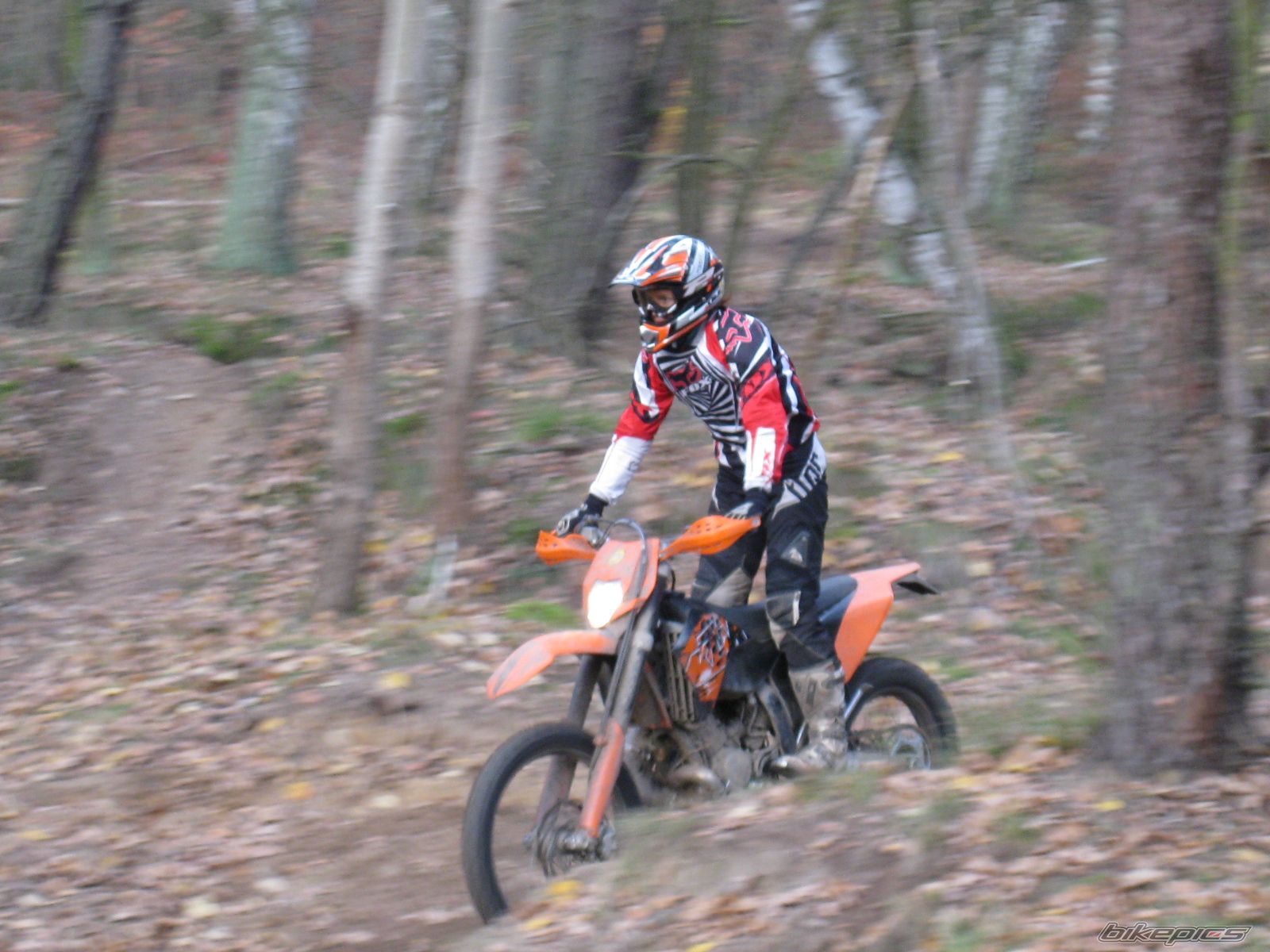 Photo 1477055