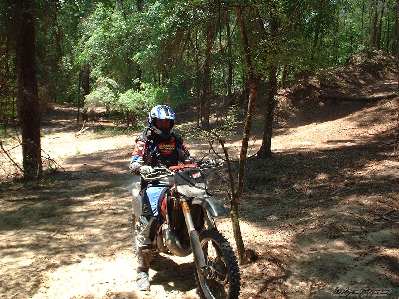 Photo 147714