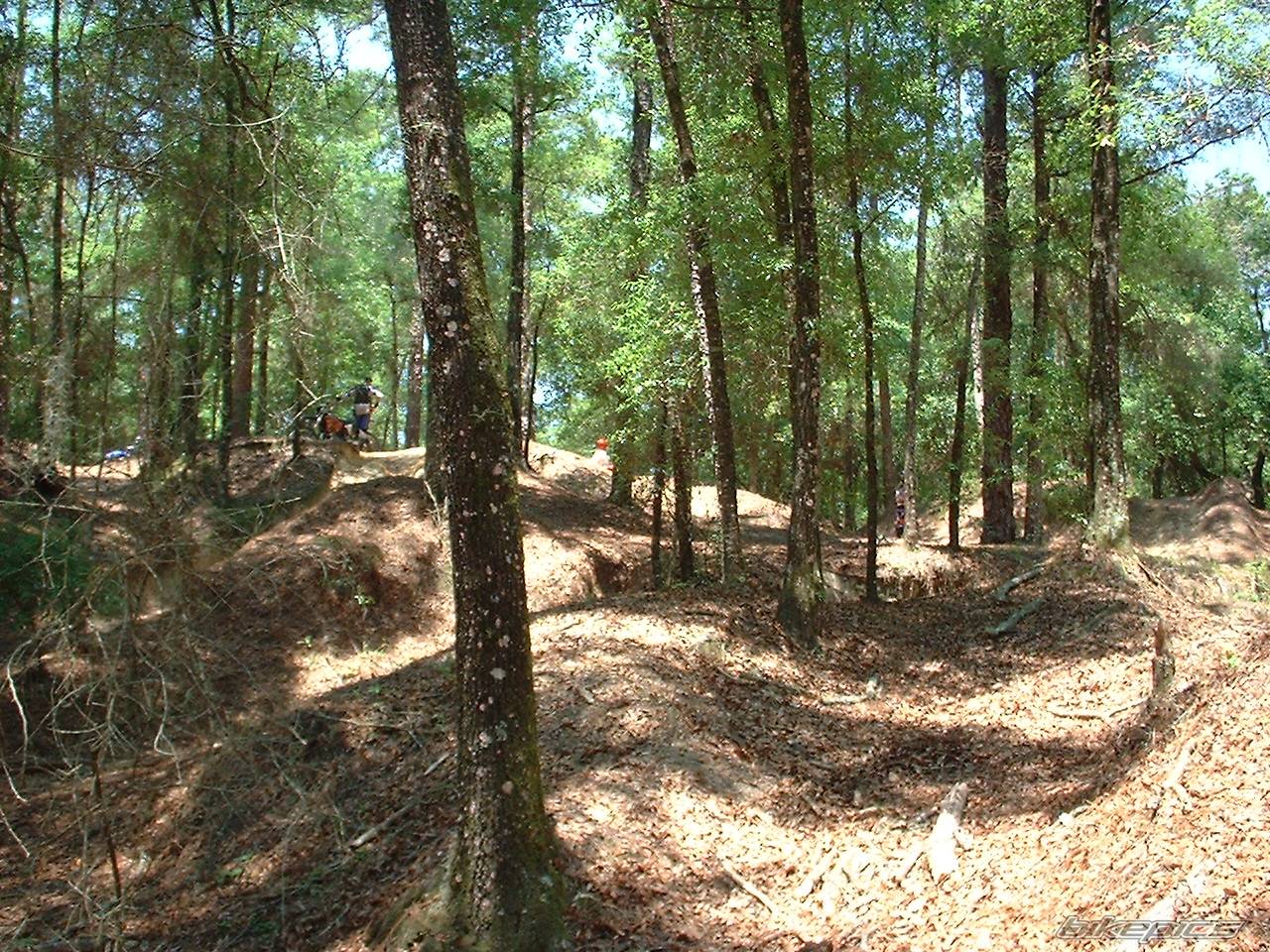 Photo 147717