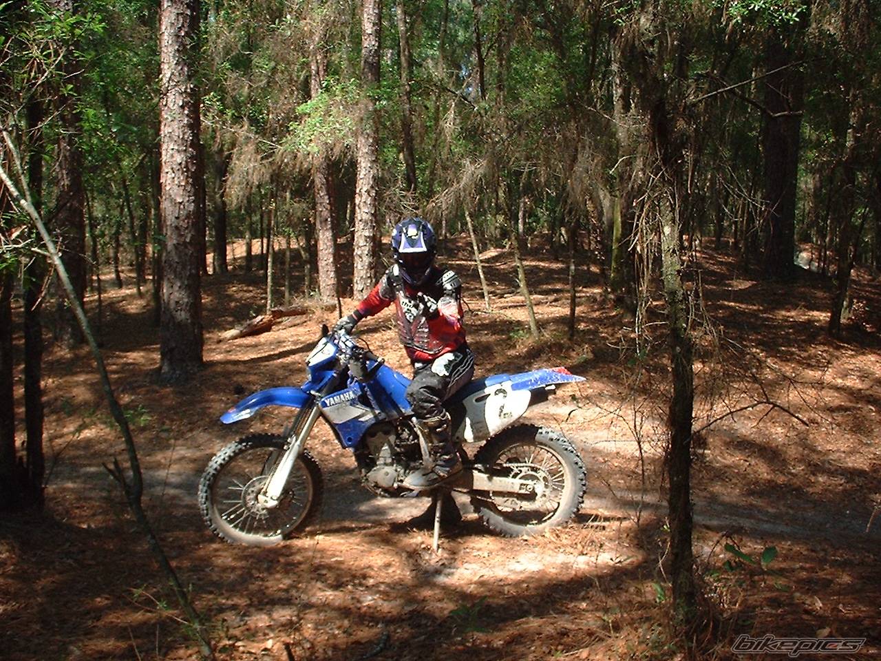 Photo 147722