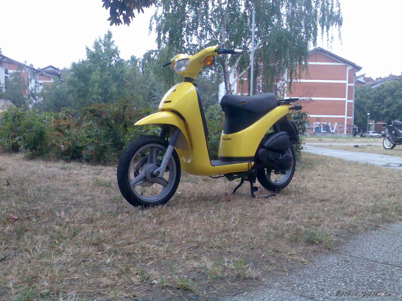 Photo 1477222
