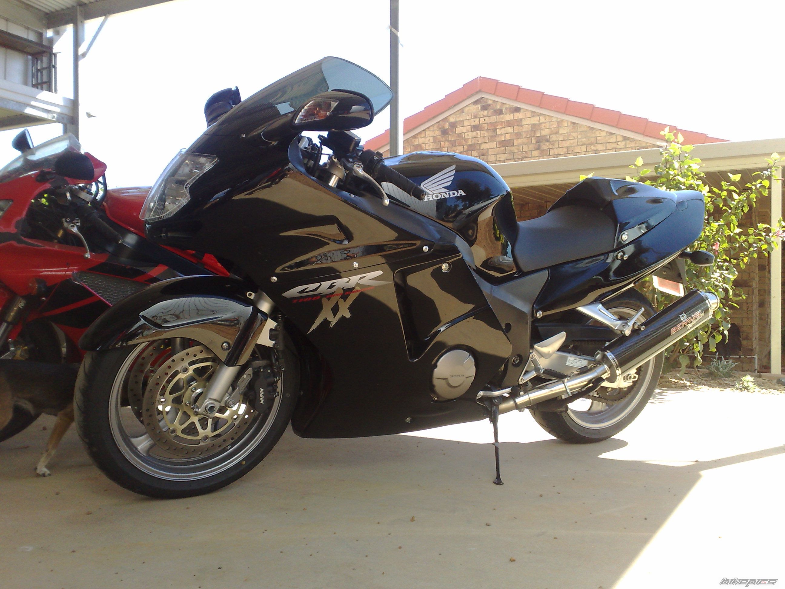 Photo 1477248