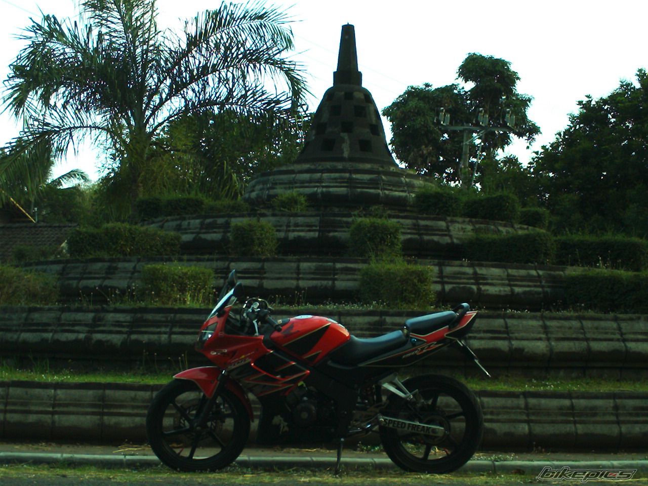 Photo 1477399