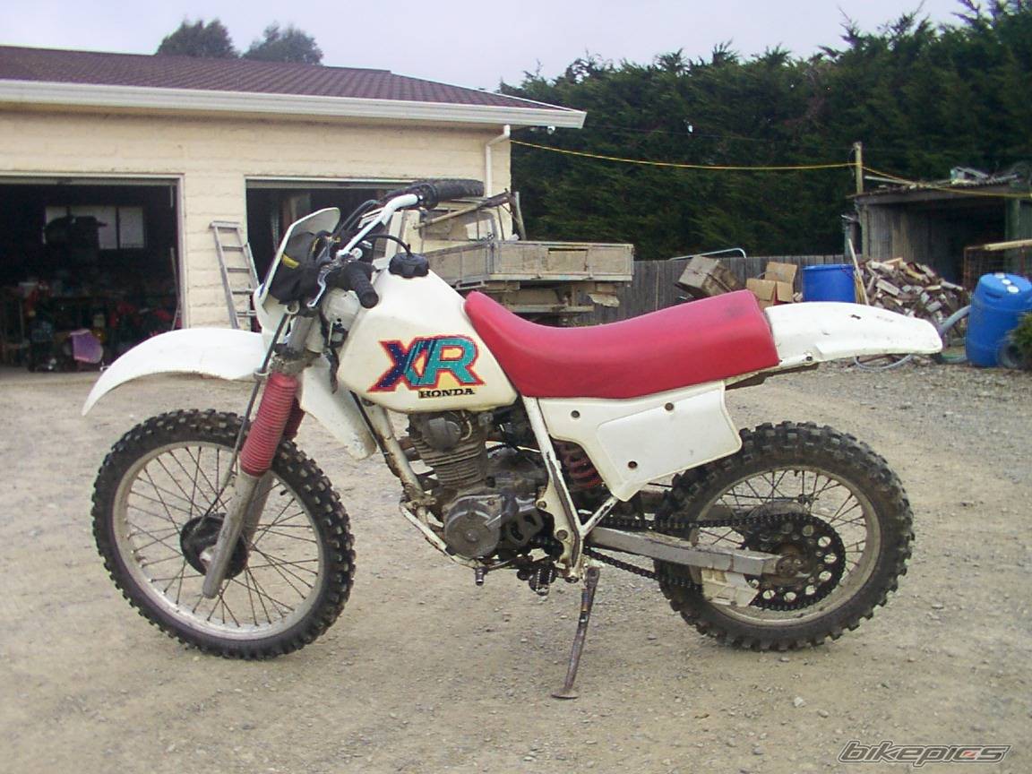 Photo 147740
