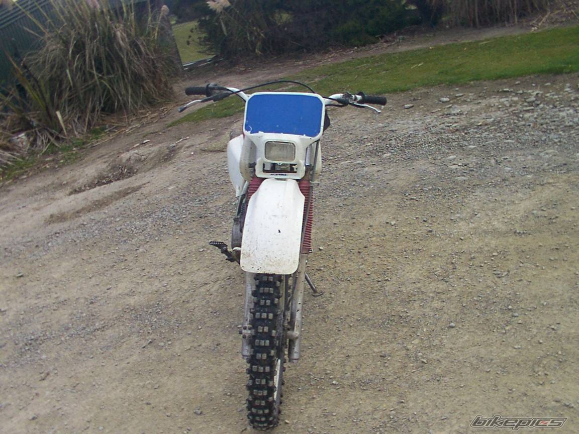 Photo 147741