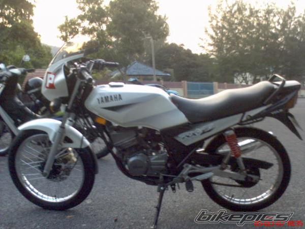 Photo 1477422
