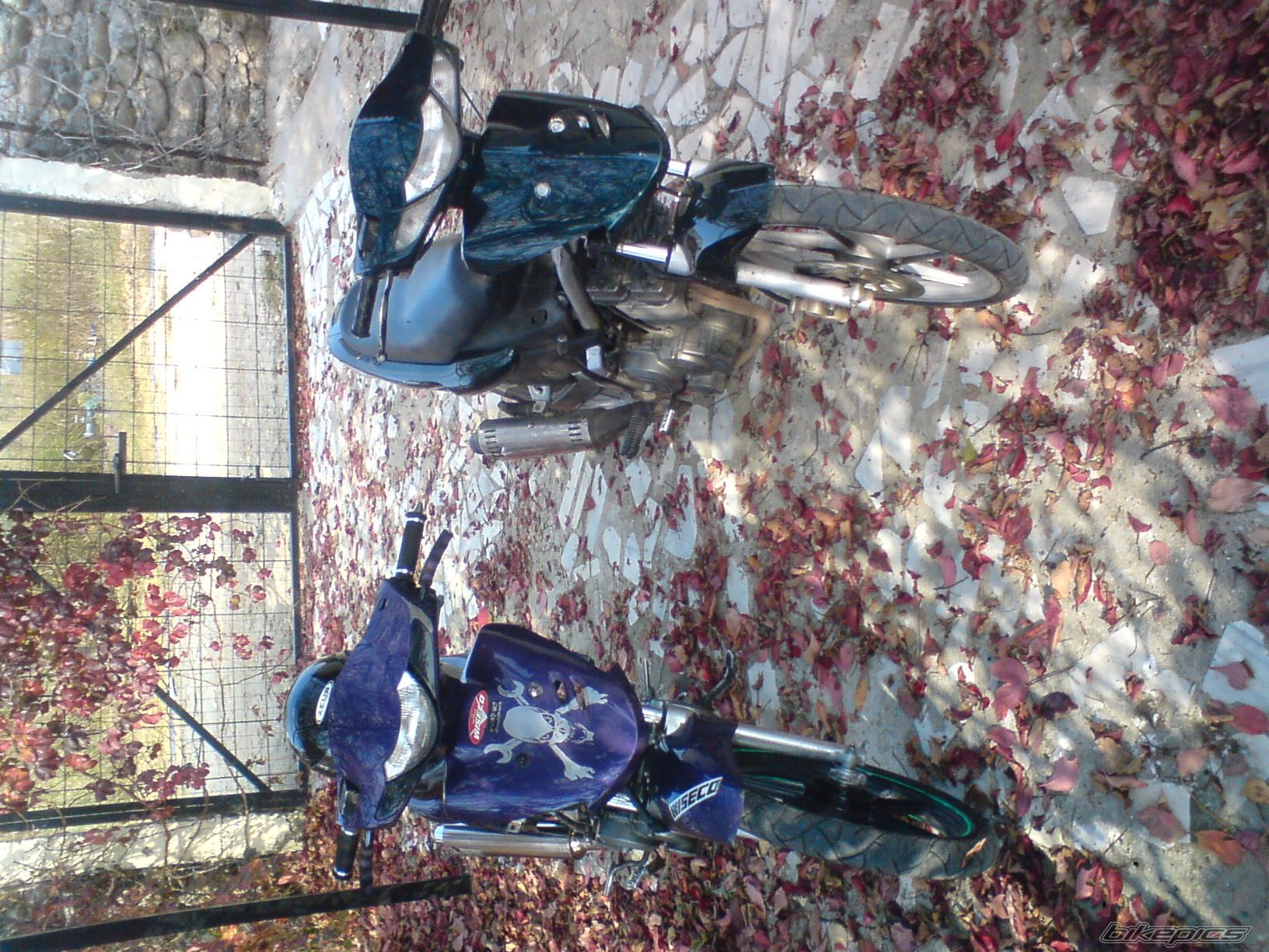 Photo 1477445