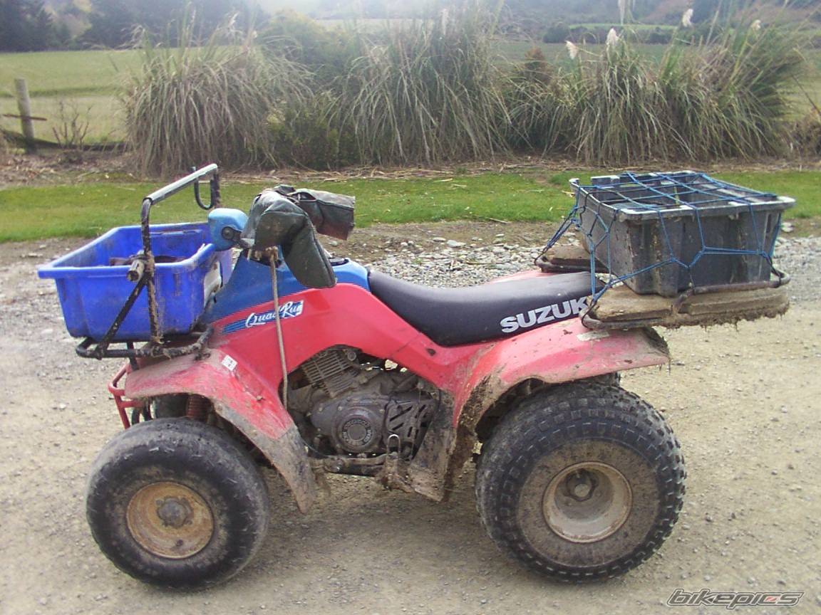 Photo 147747