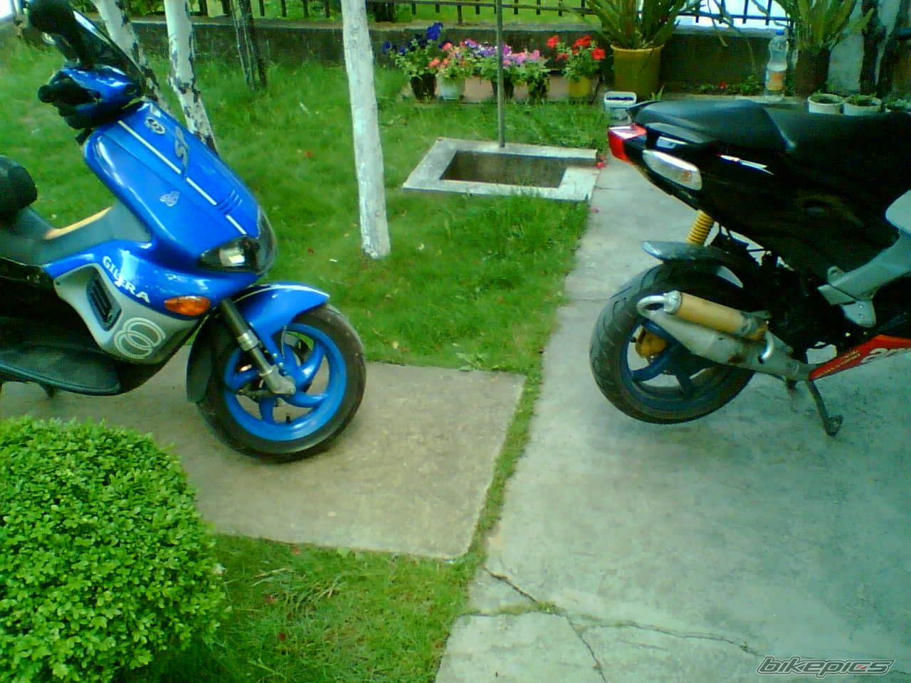 Bike Photo 1477483