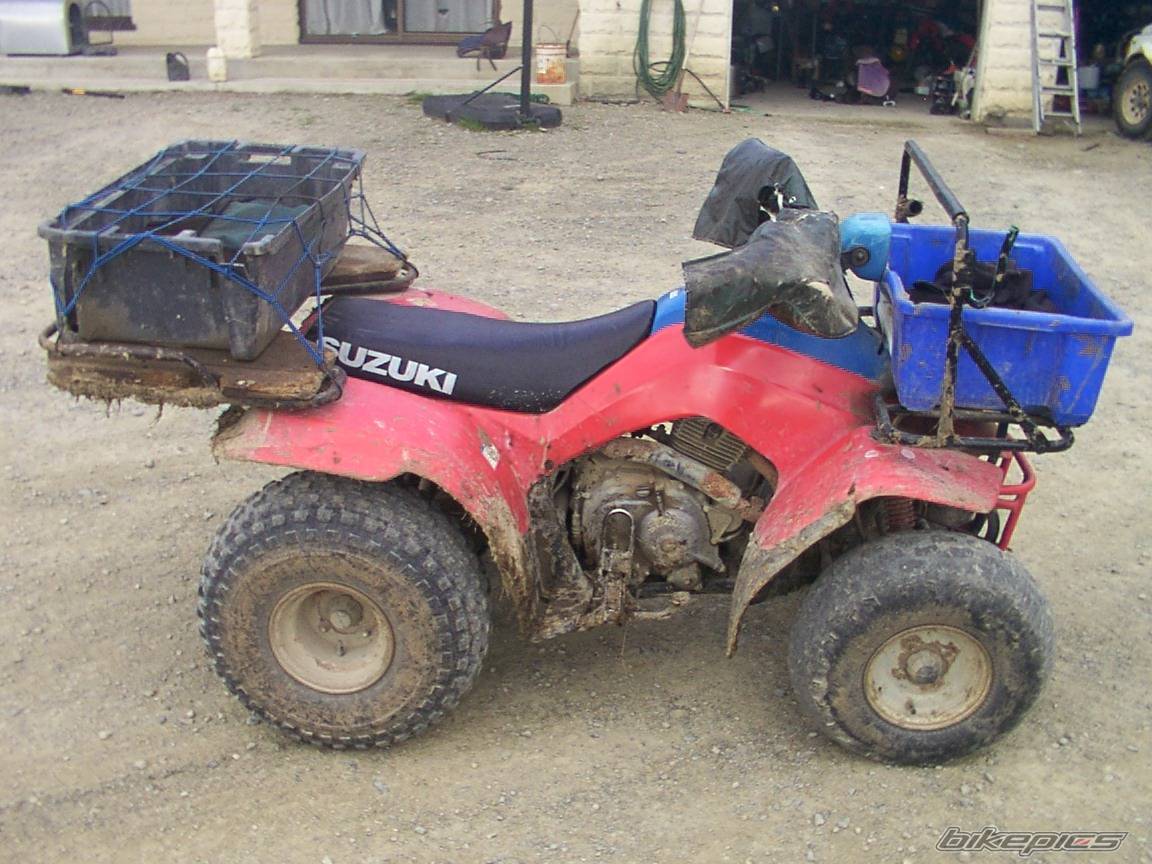 Photo 147752