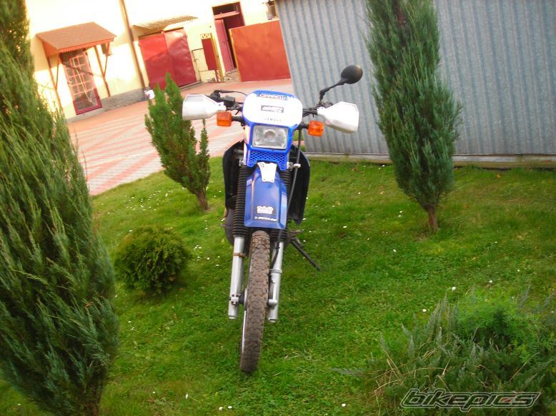 Photo 1477550