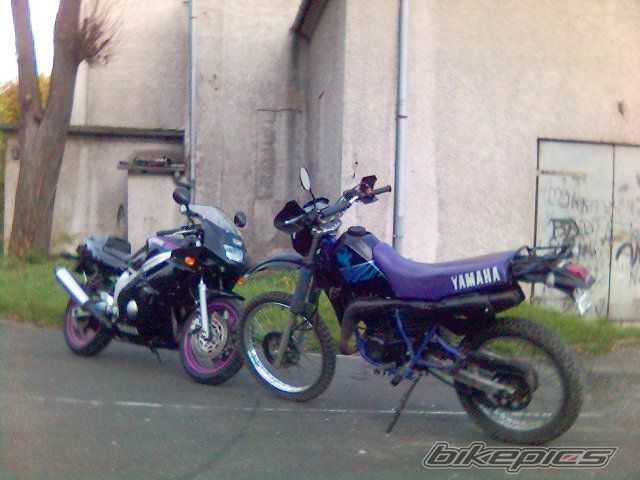 Photo 1477560