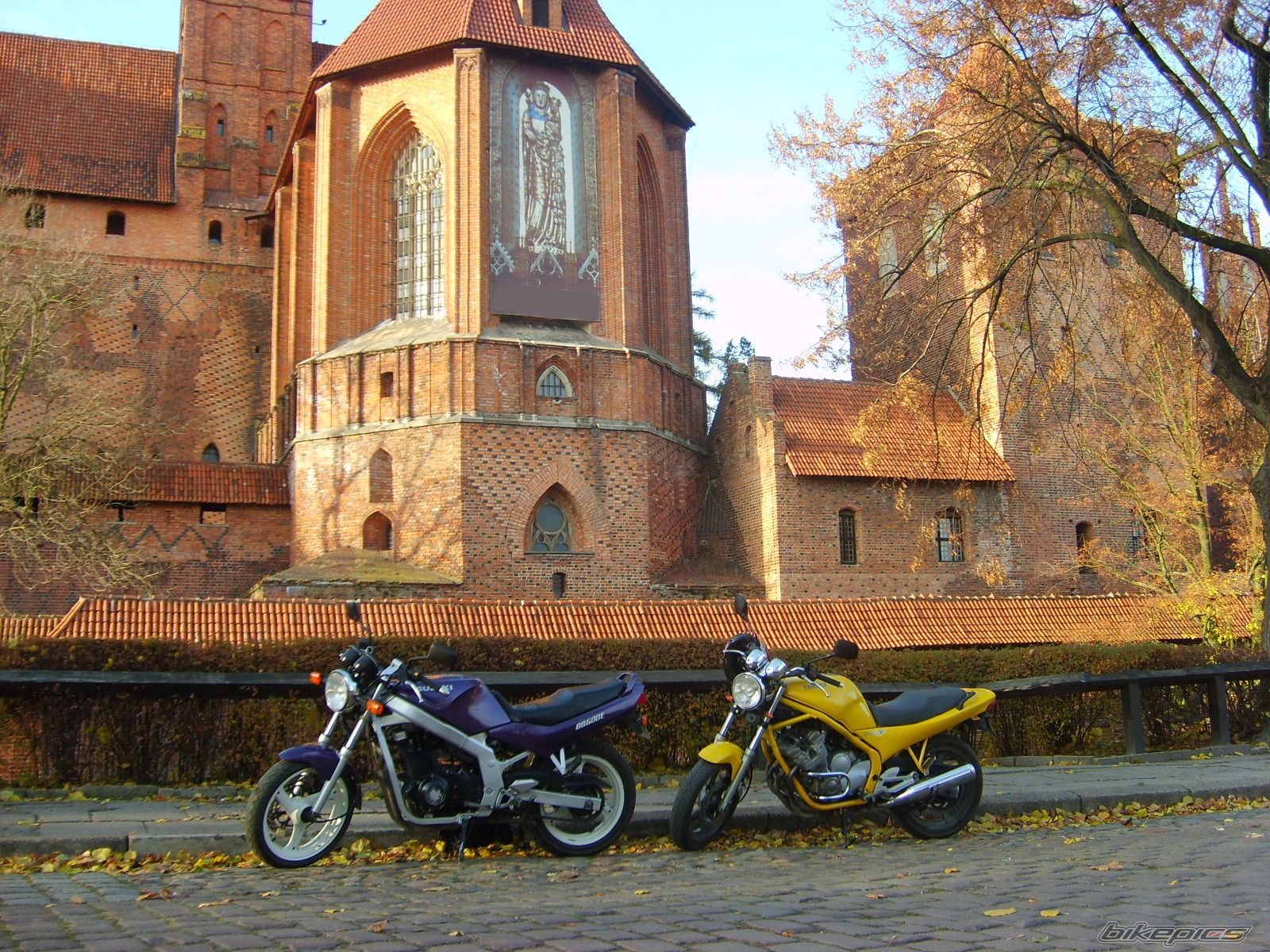 Photo 1477641