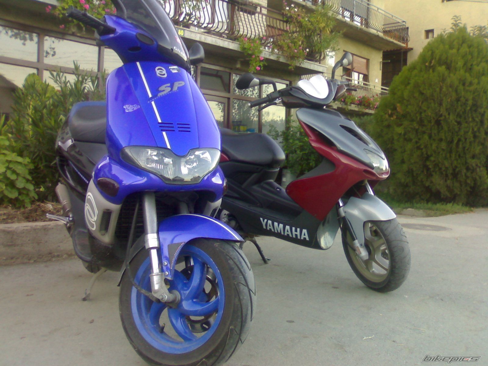 Photo 1477668