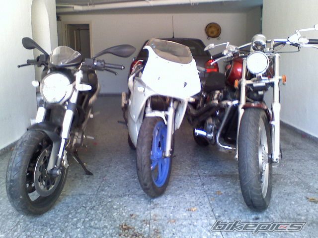 Photo 1477736