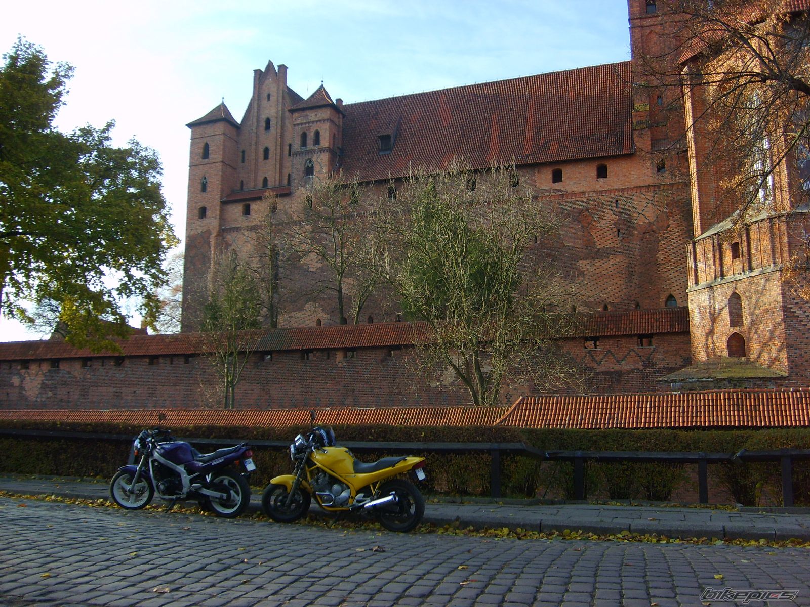 Photo 1477769