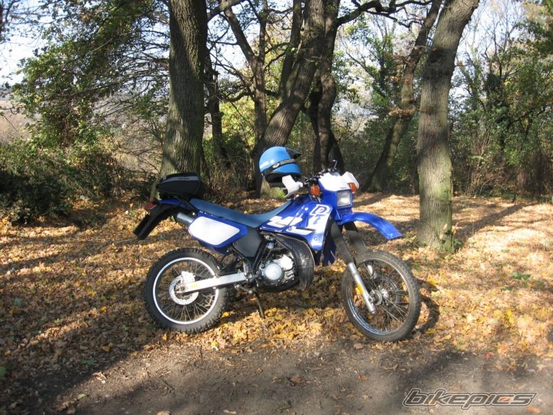 Photo 1477803