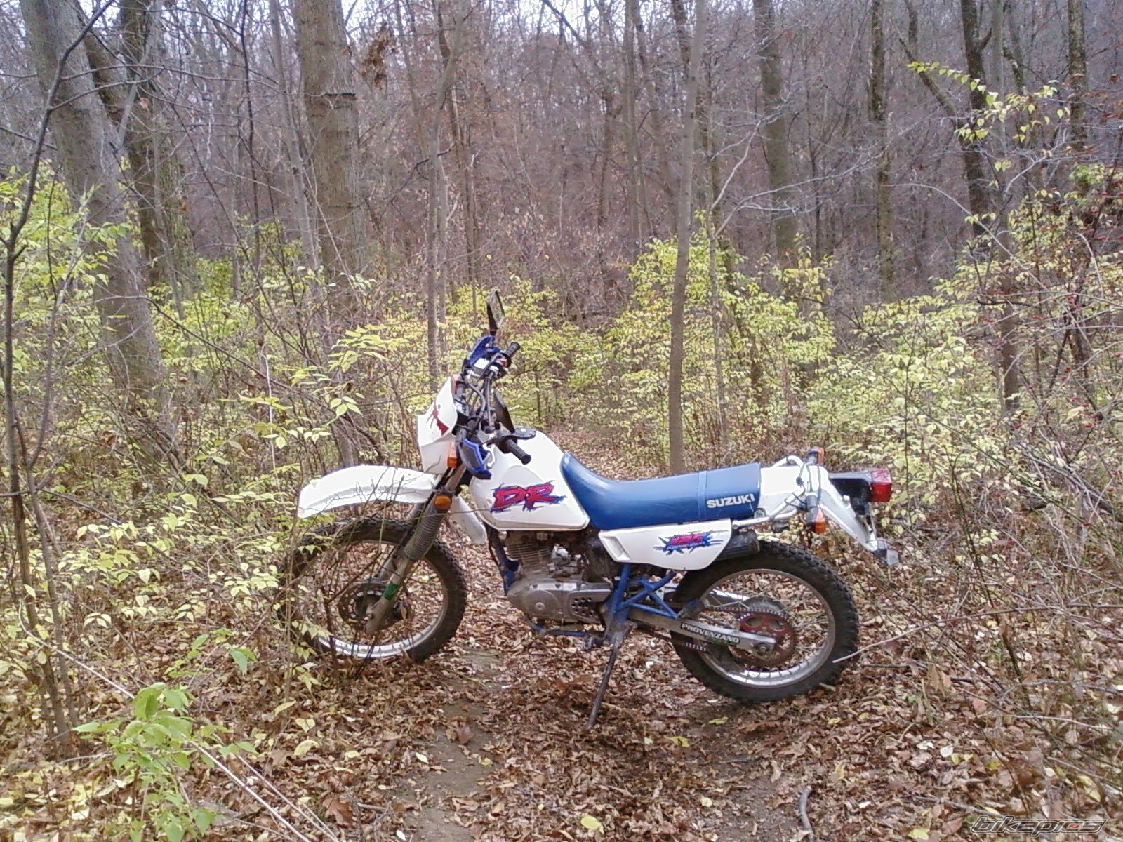 Photo 1477840