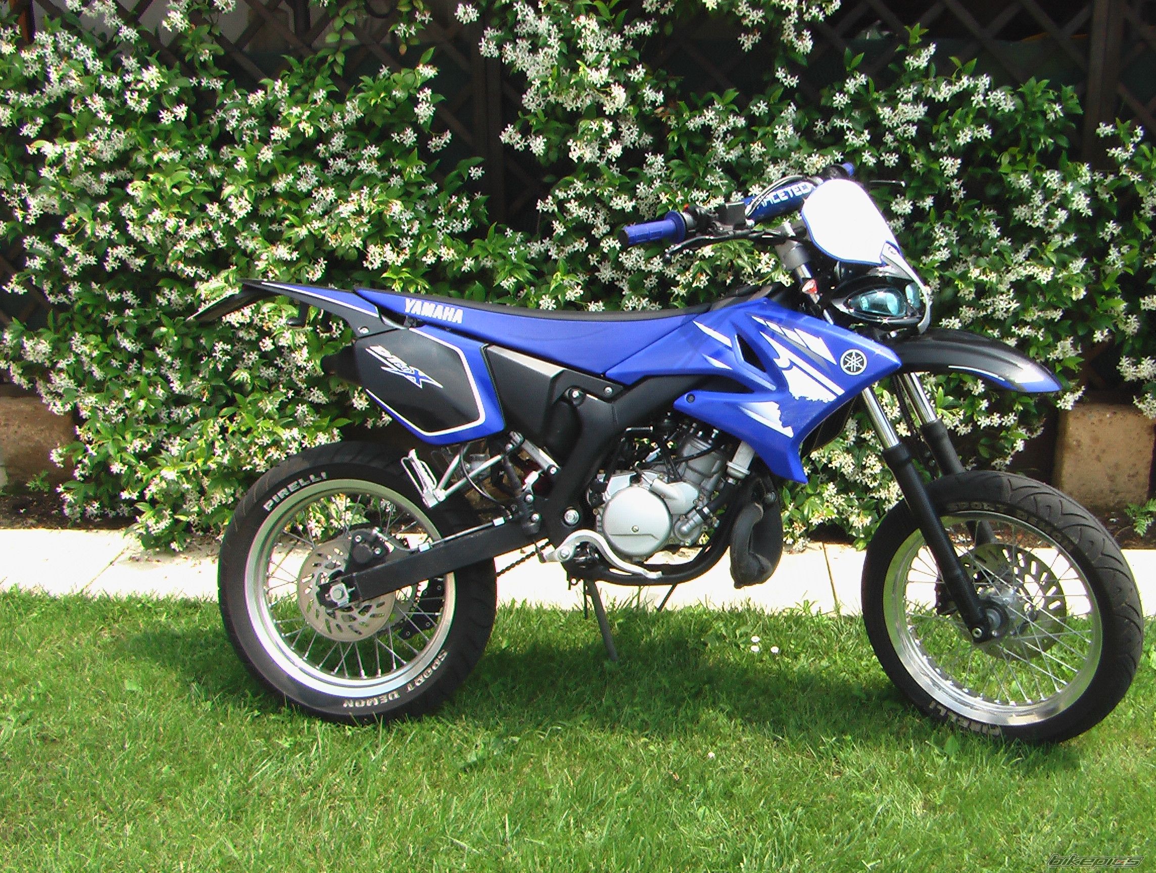 Photo 1477841