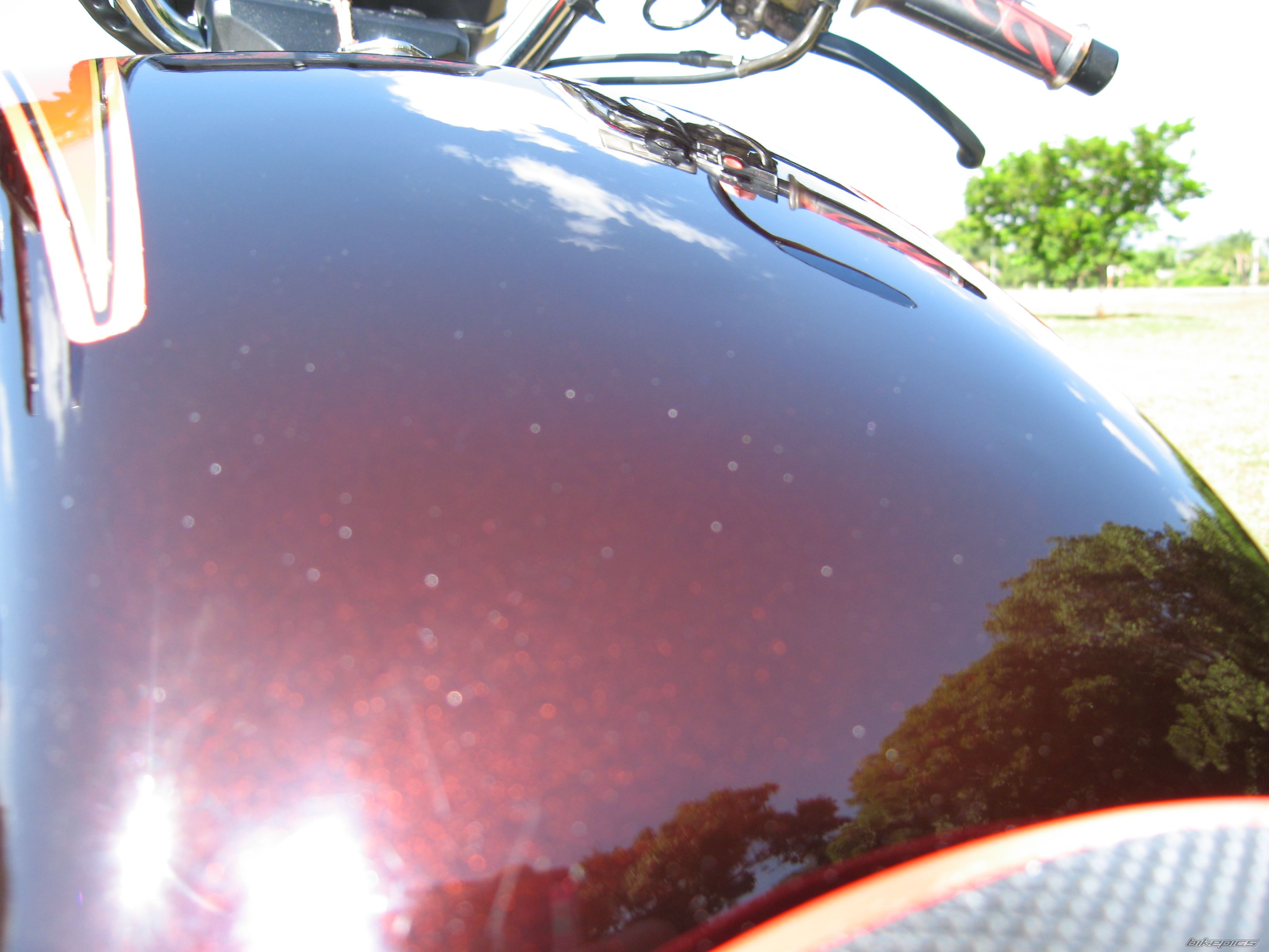 Photo 1477844