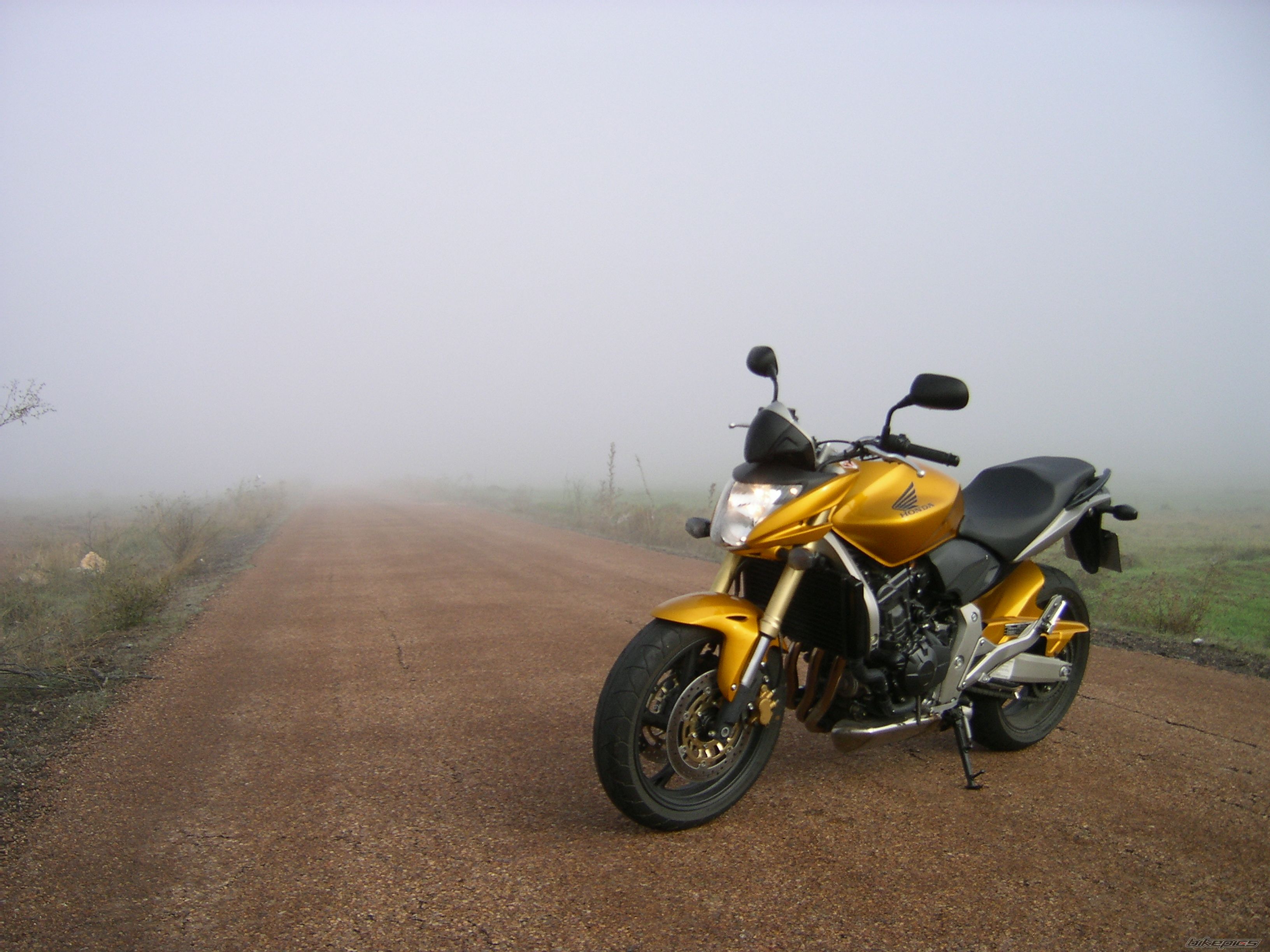 Photo 1477865