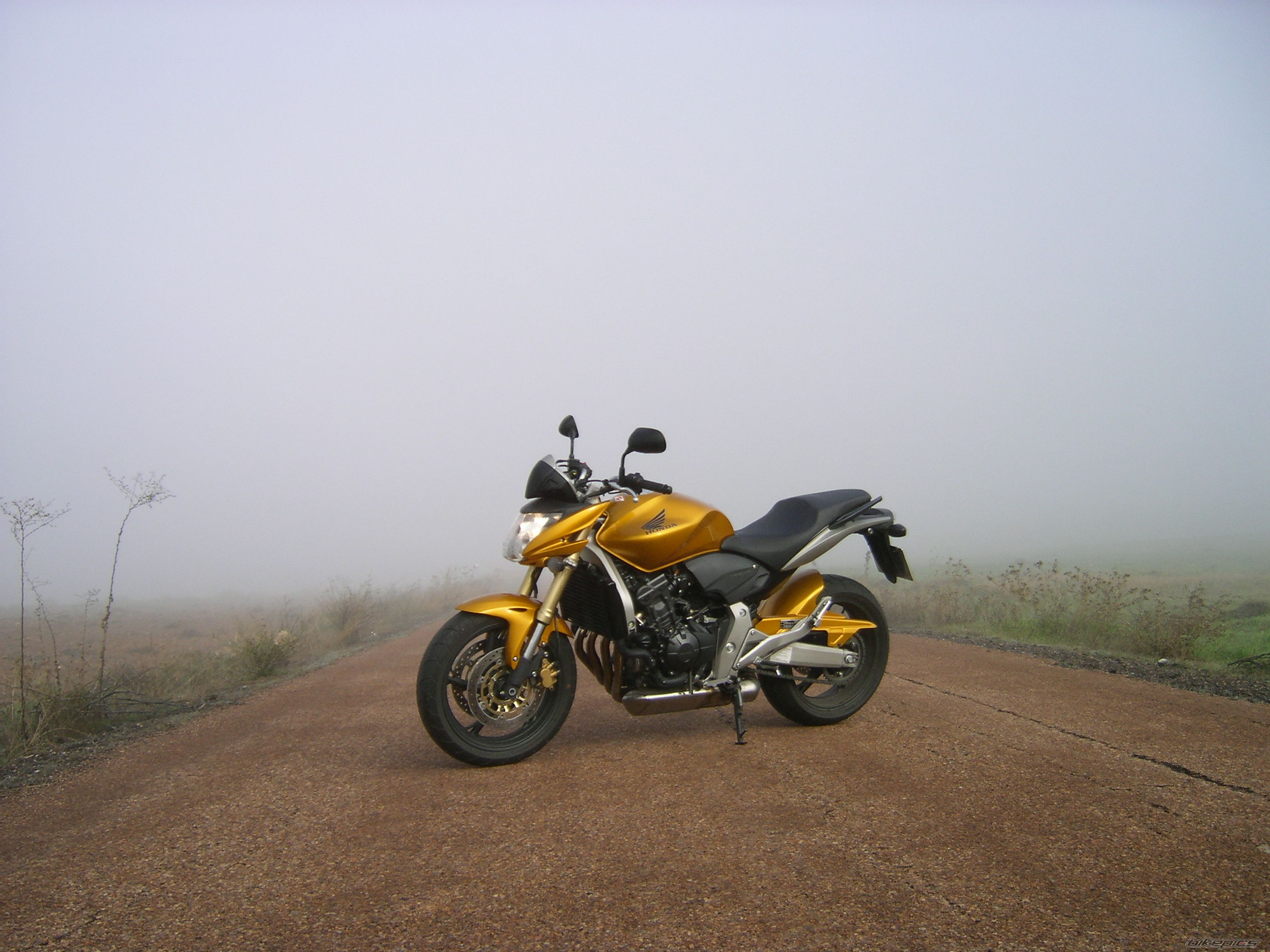 Photo 1477905