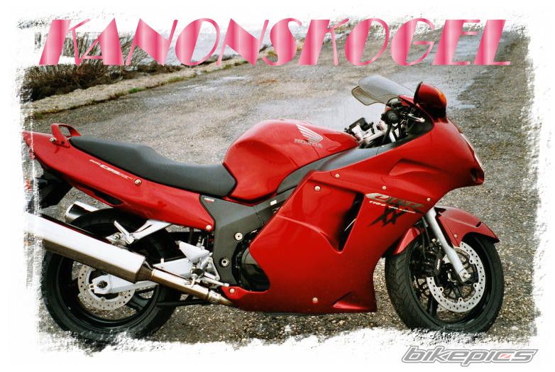 Photo 1477994