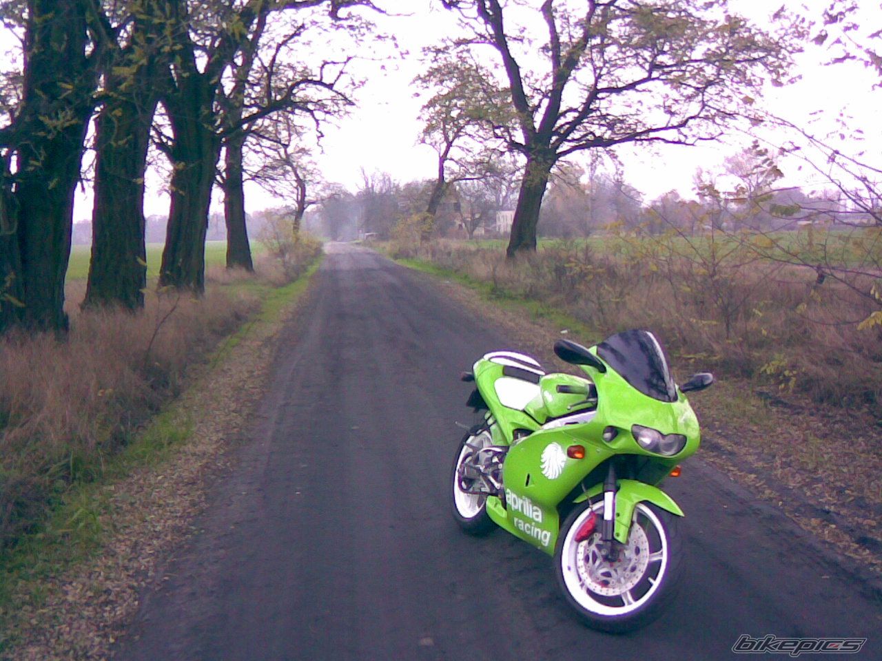 Bike Photo 1478000
