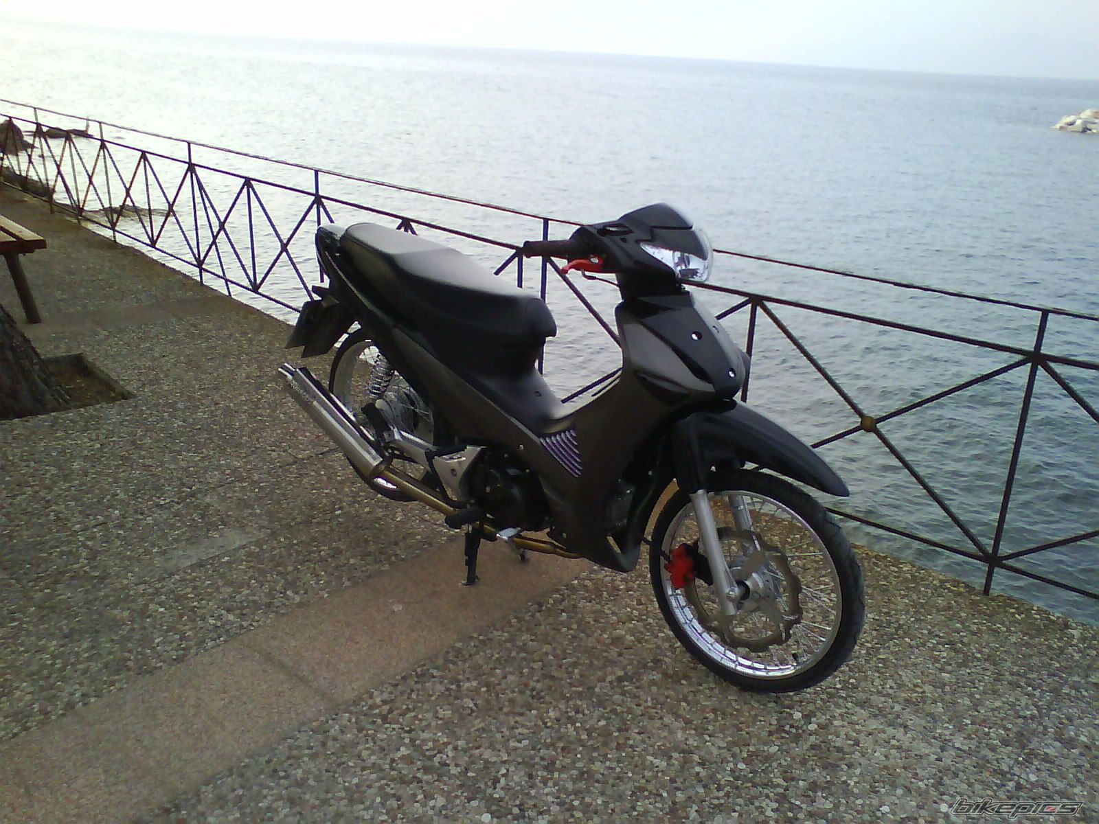Photo 1478050