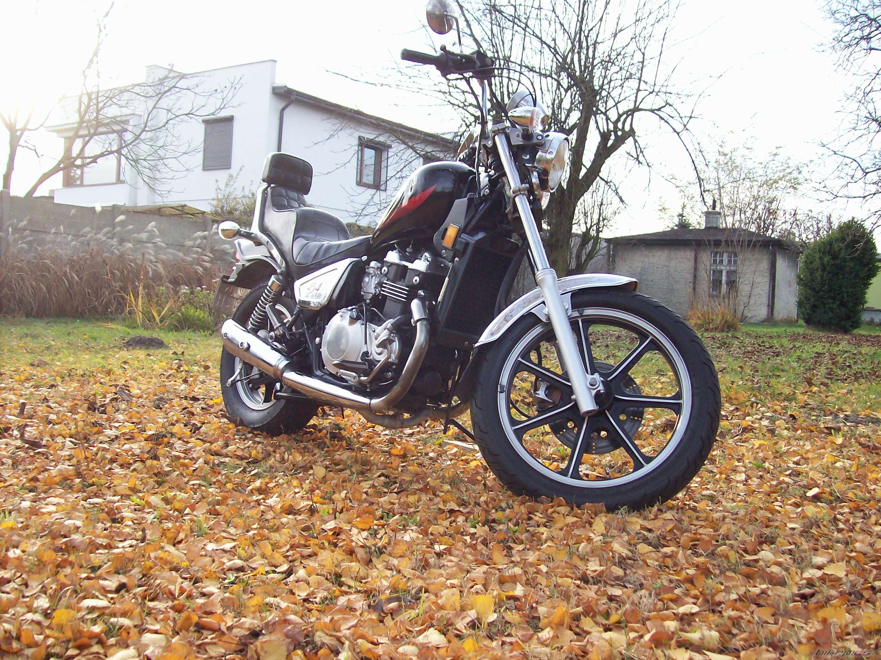Photo 1478135