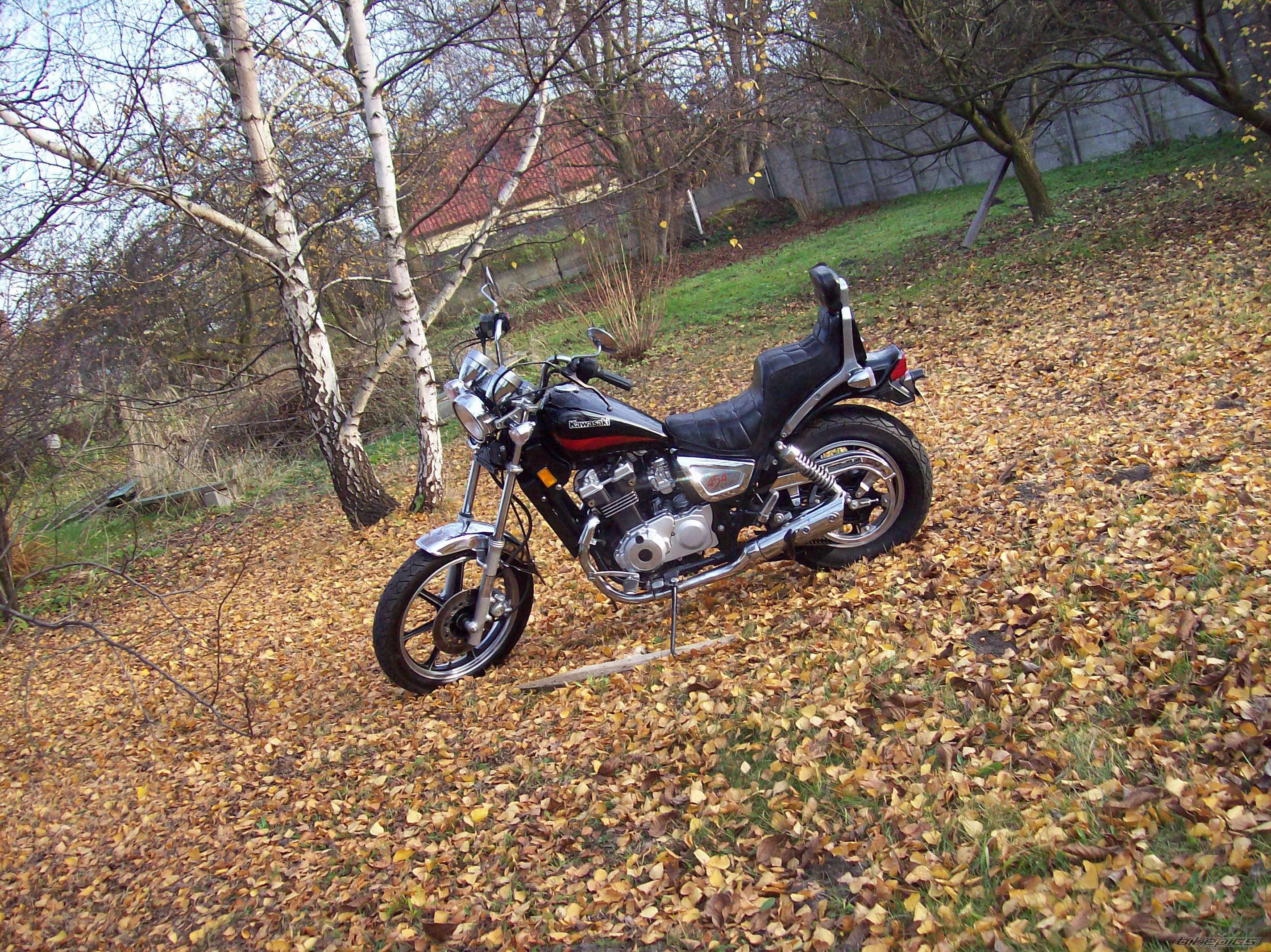 Photo 1478138