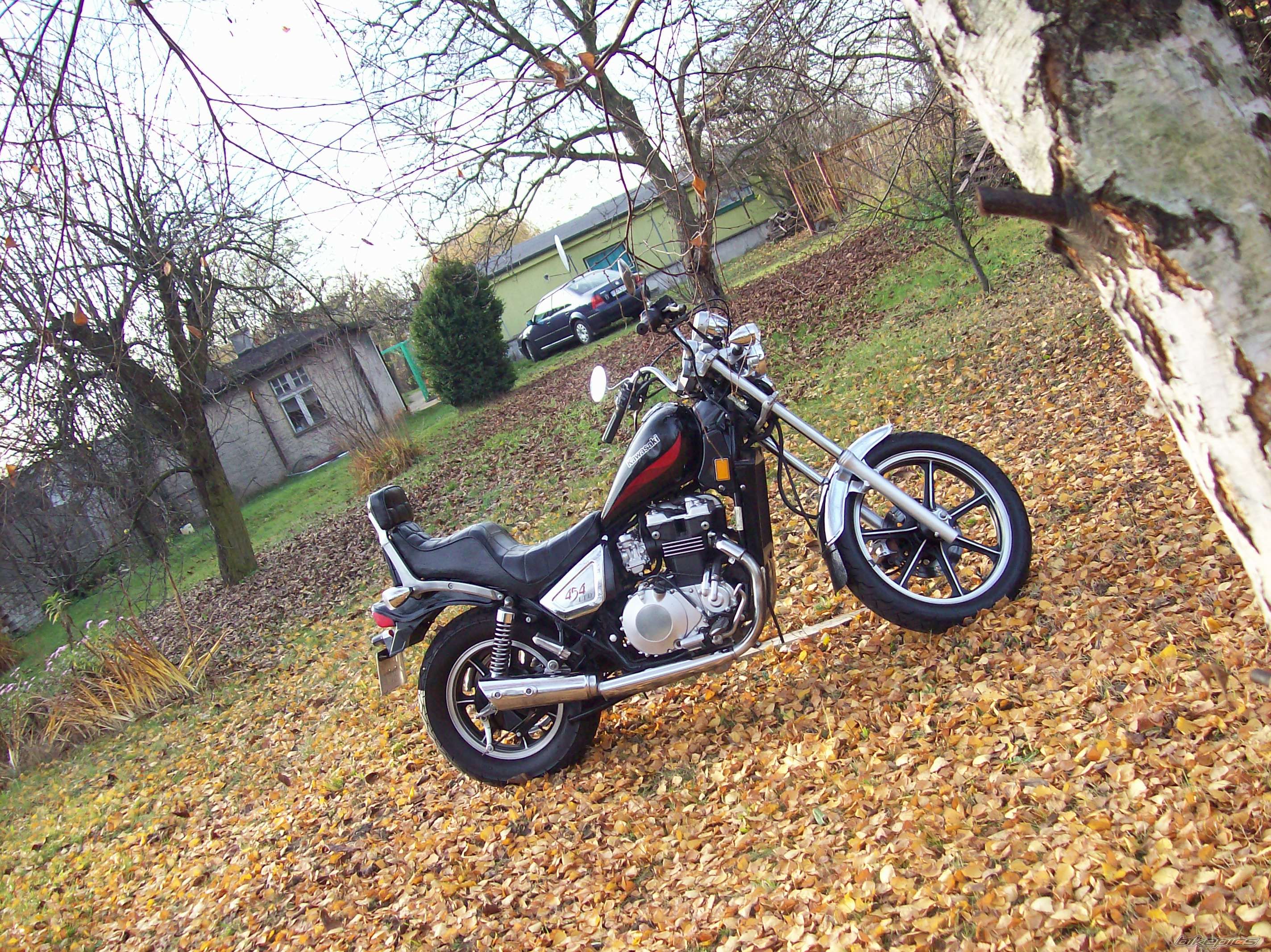 Photo 1478142