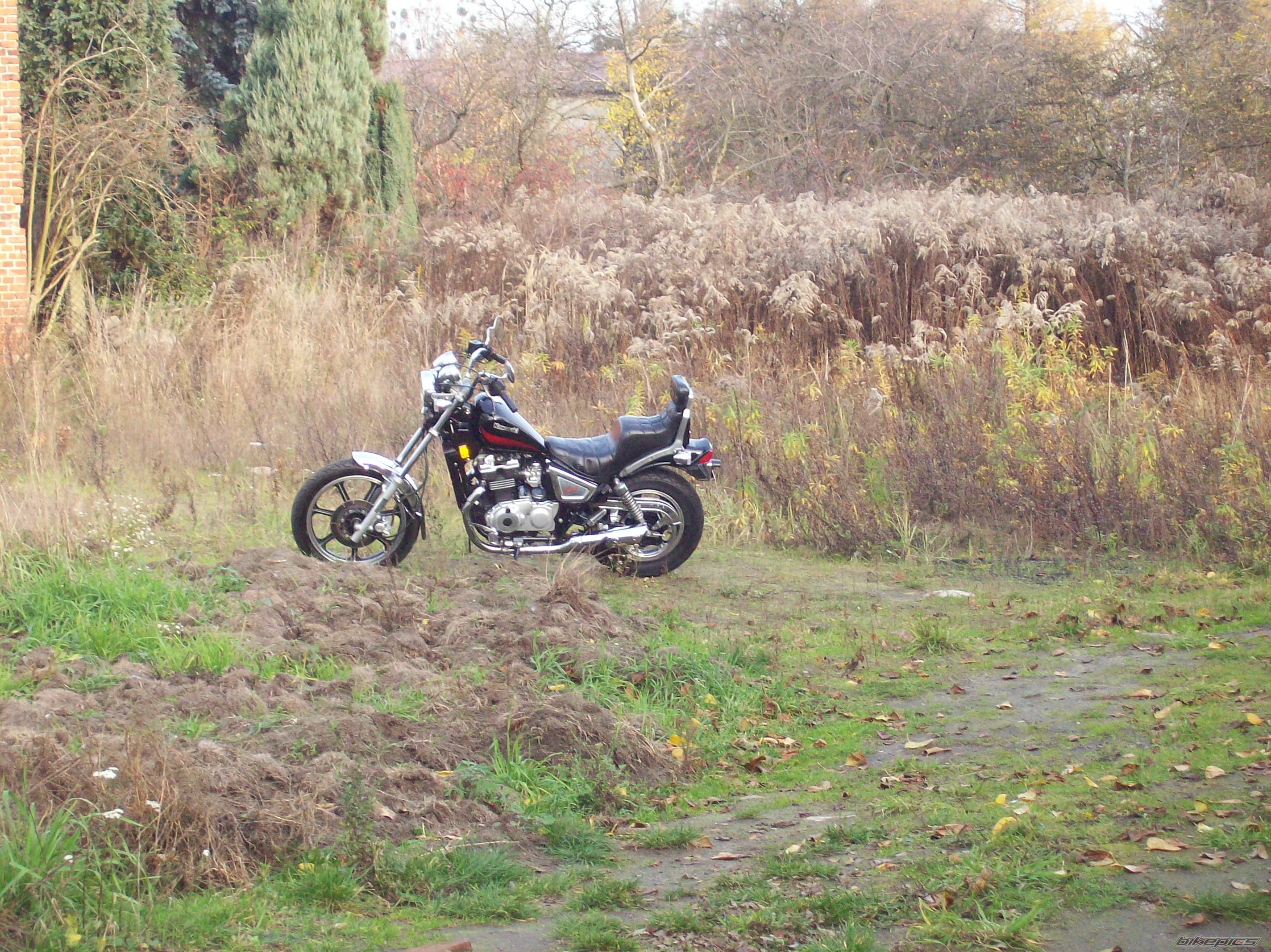 Photo 1478152