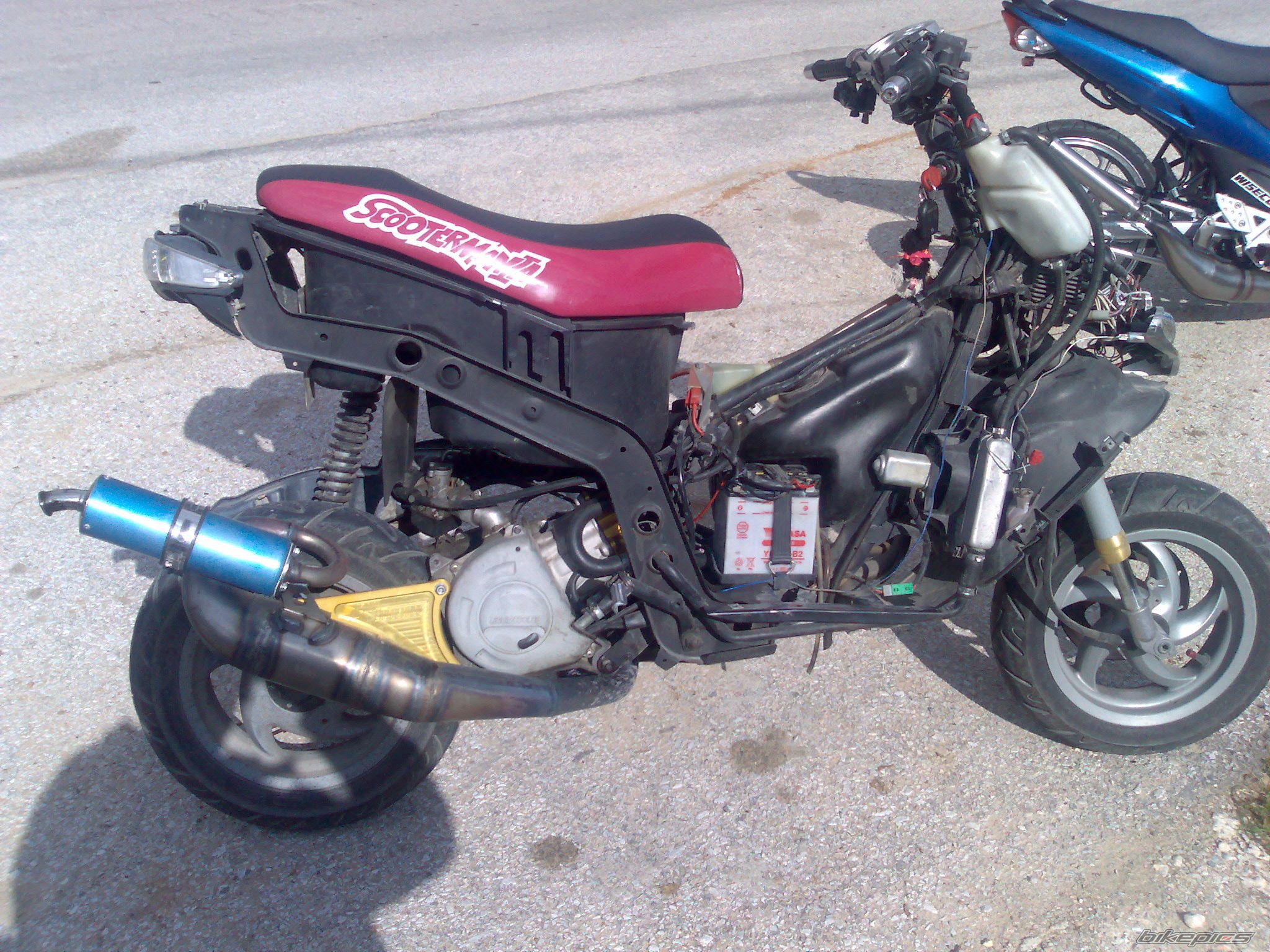 Photo 1478210