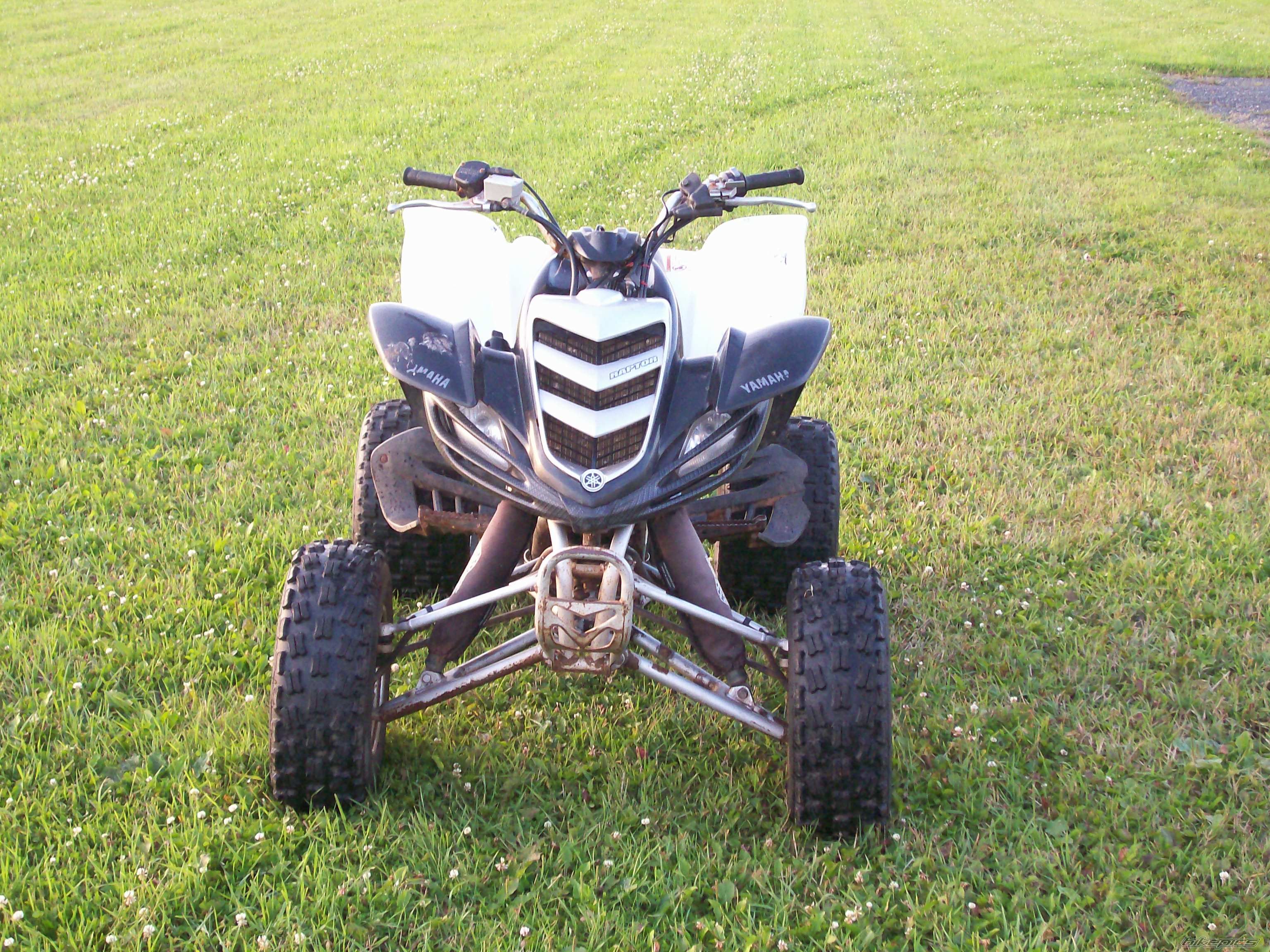 Photo 1478298
