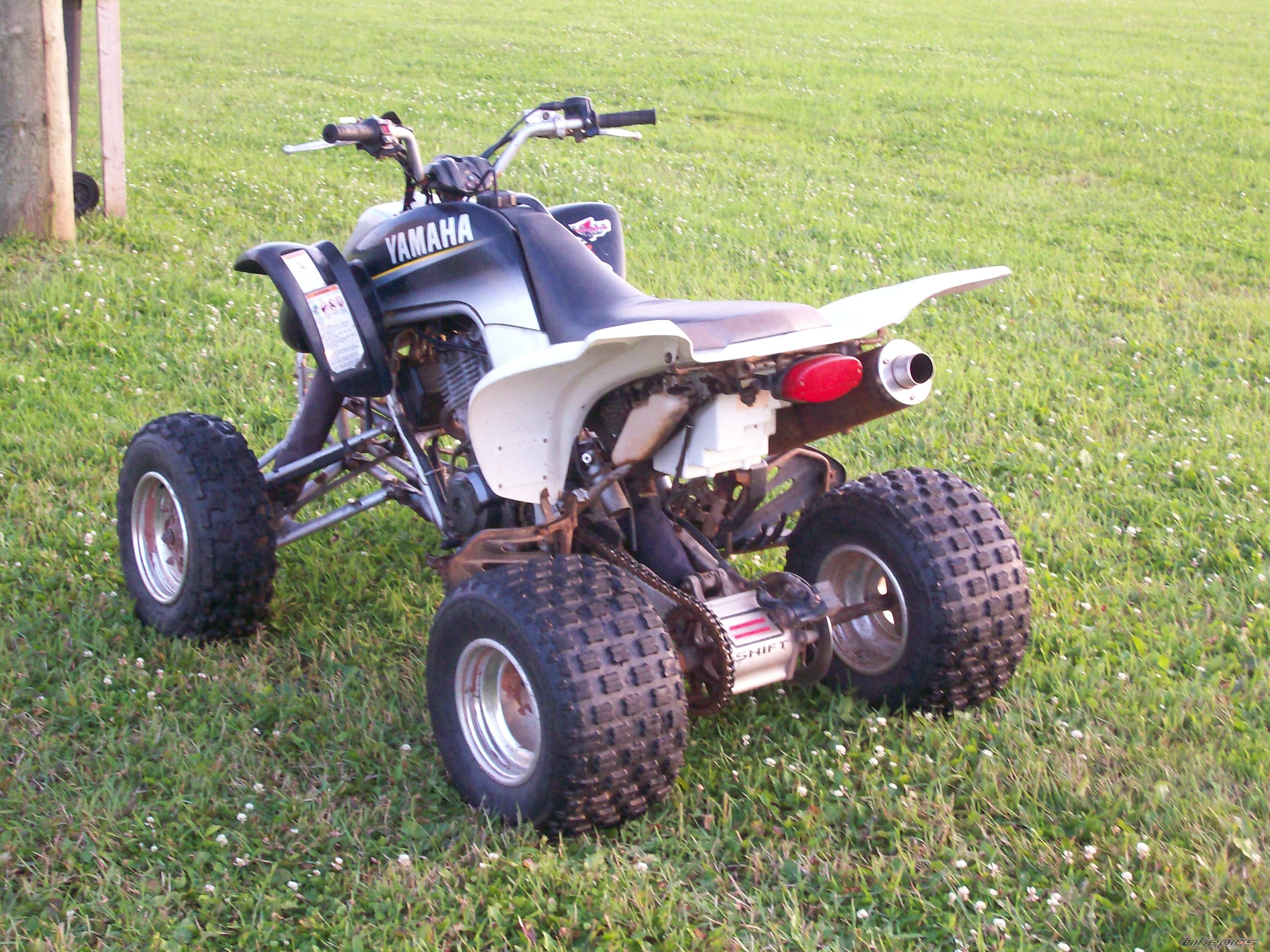 Photo 1478300