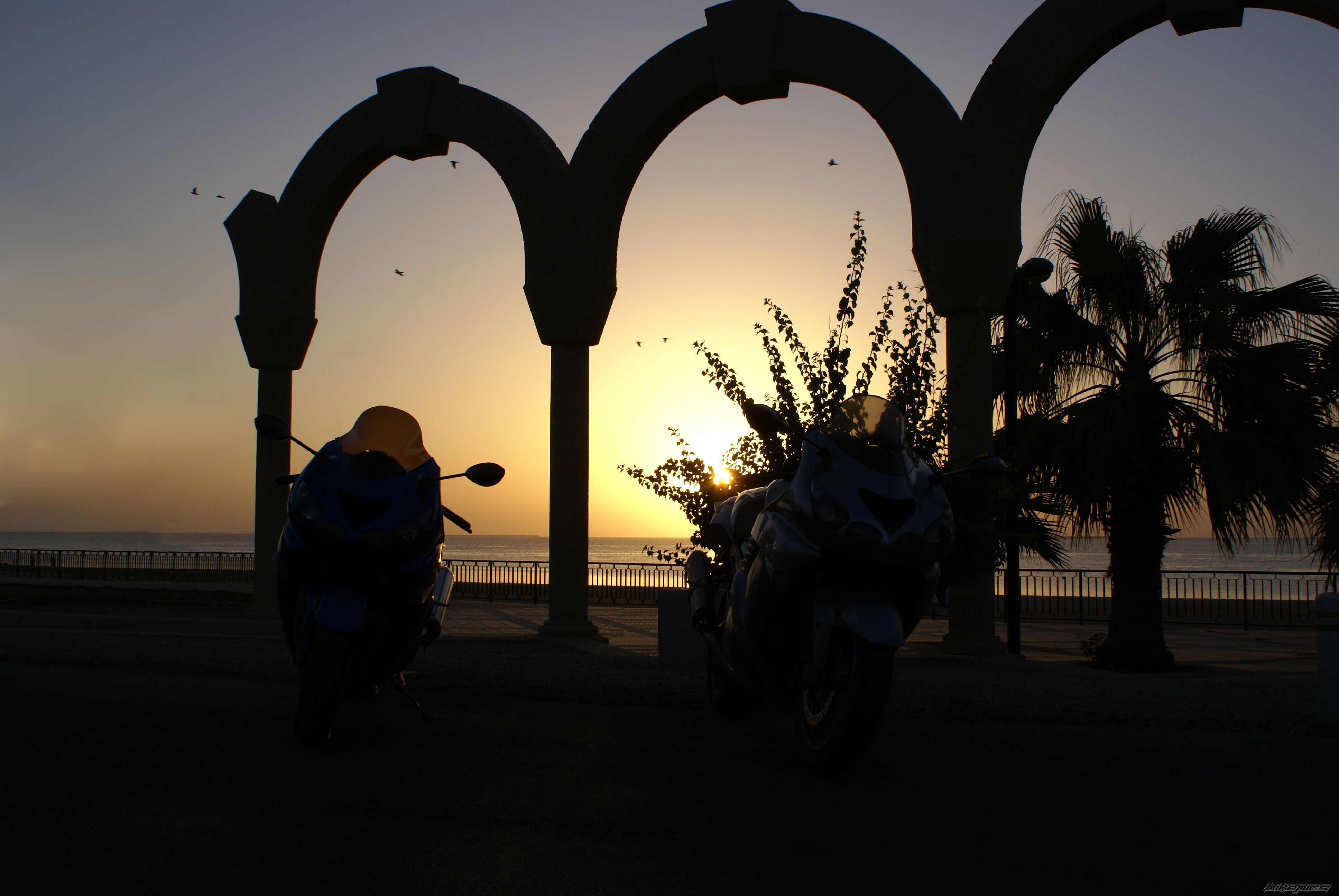 Photo 1478393