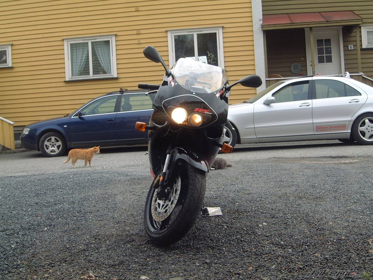 Photo 147841