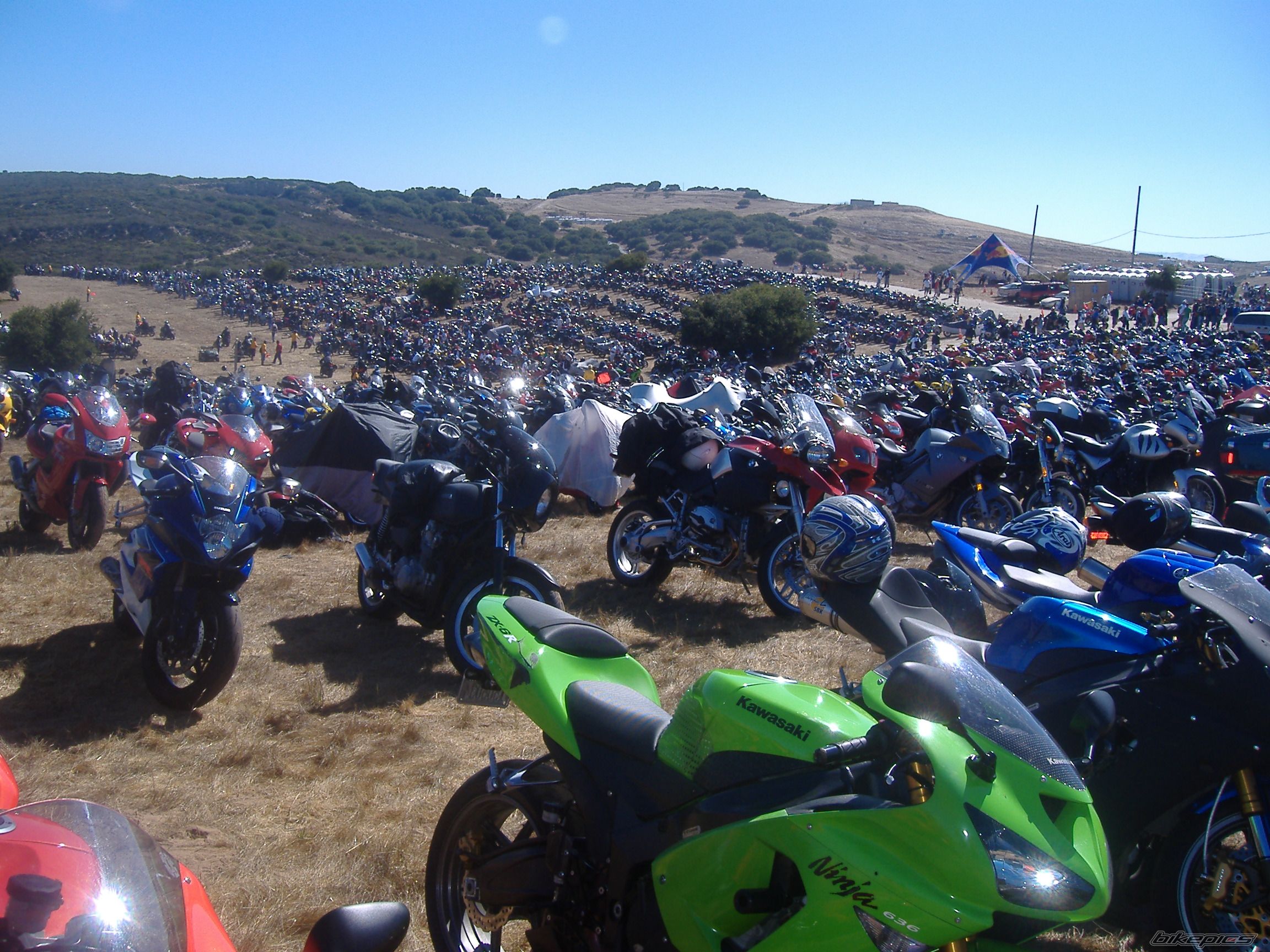 Photo 1478421