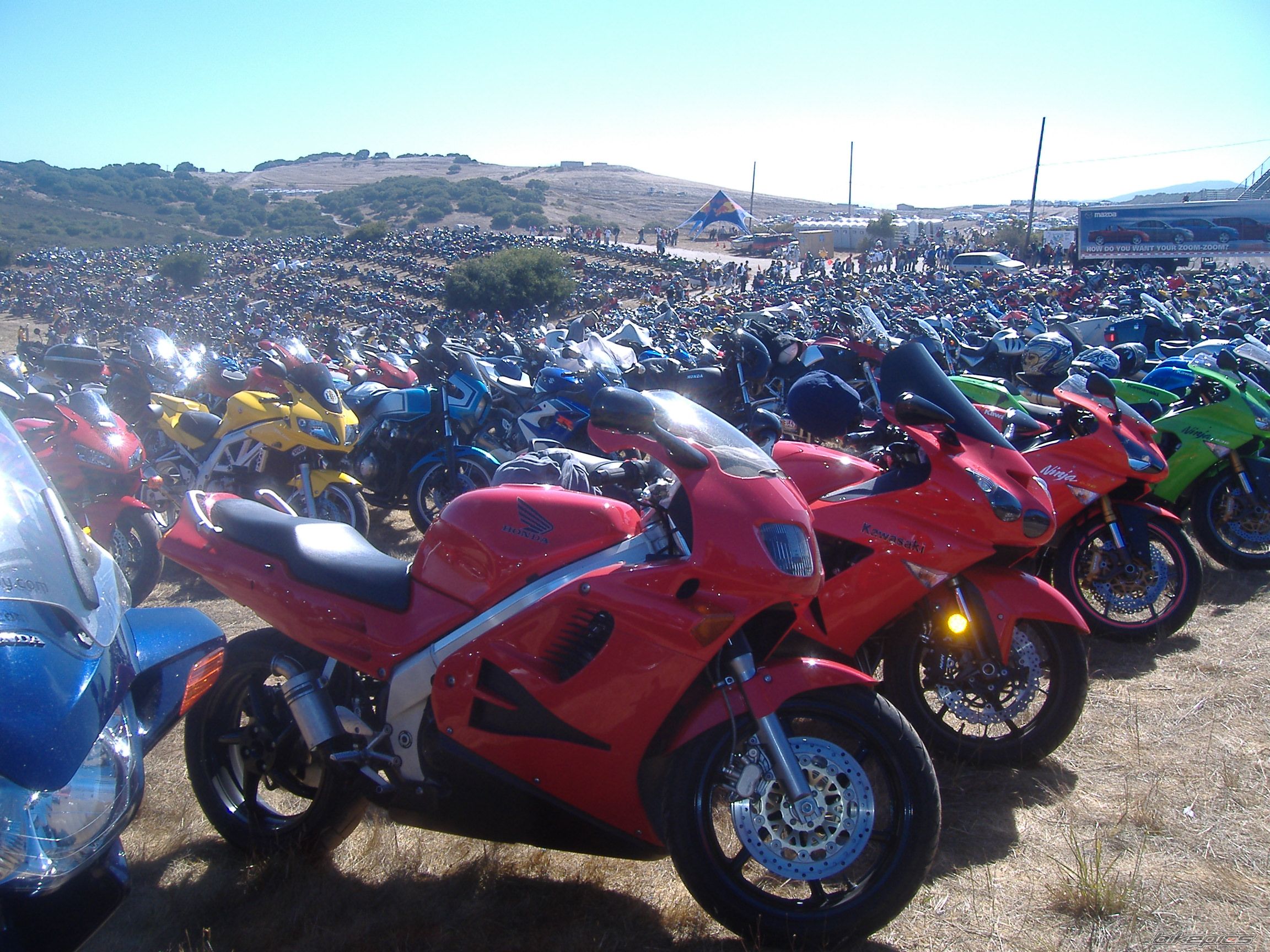 Photo 1478424