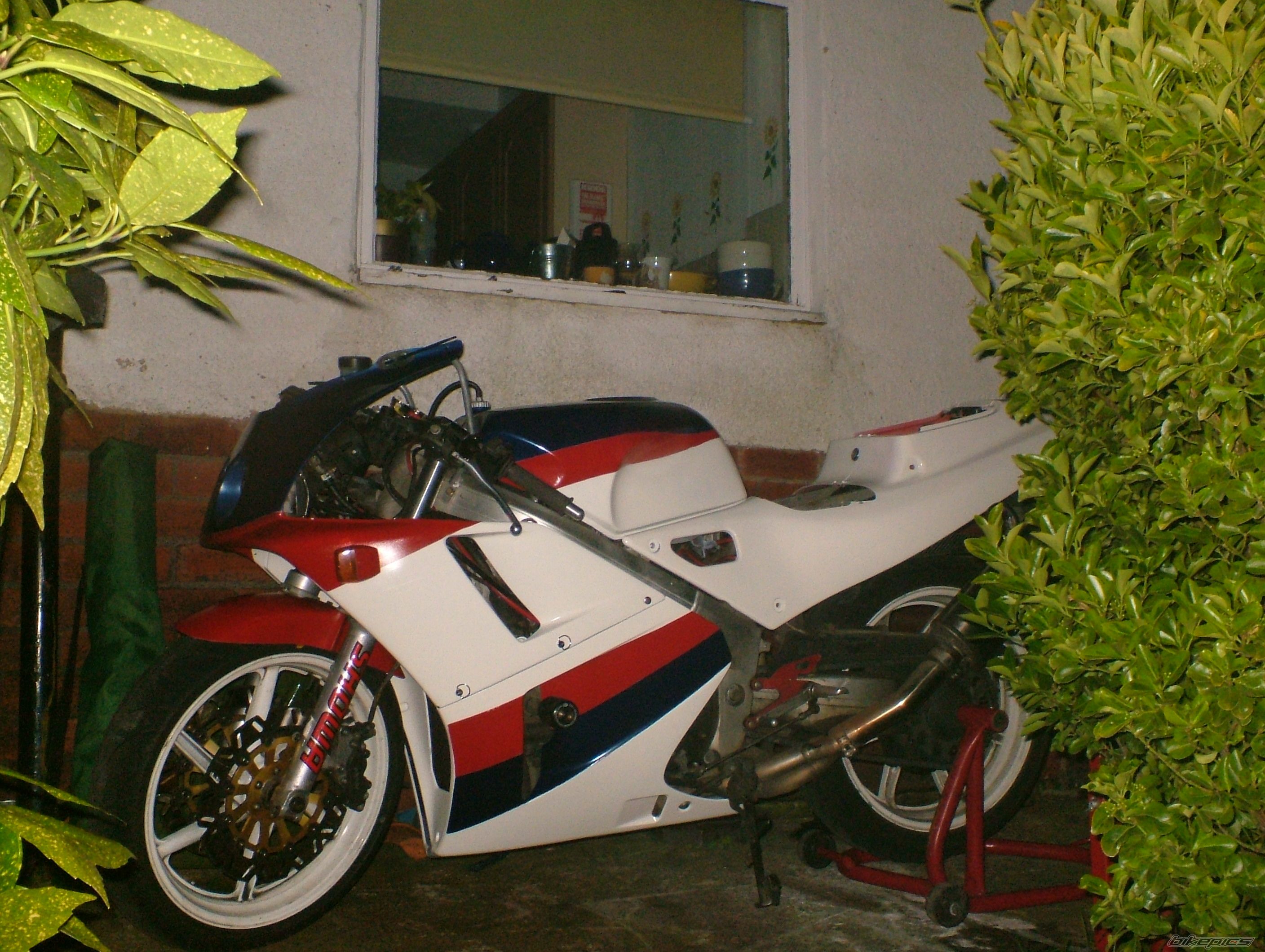 Photo 1478440