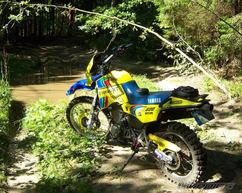 Photo 1478503