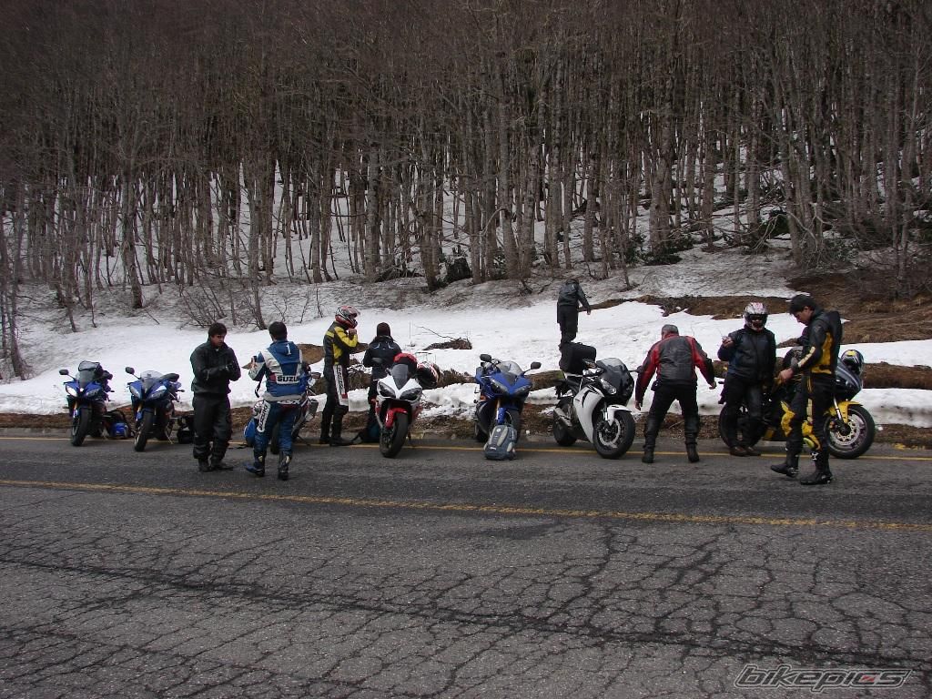 Photo 1478542