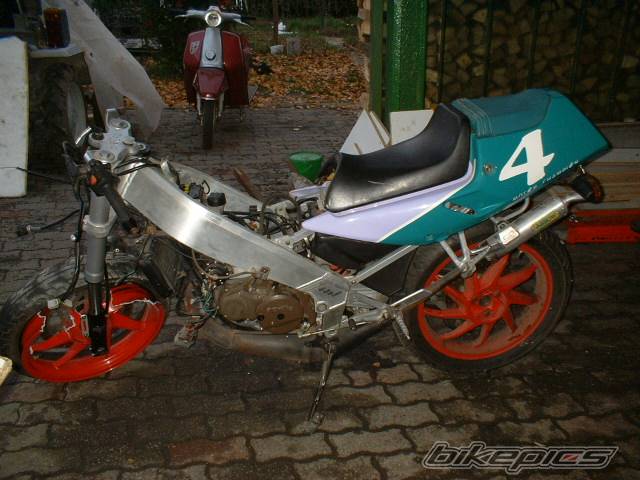 Photo 147863