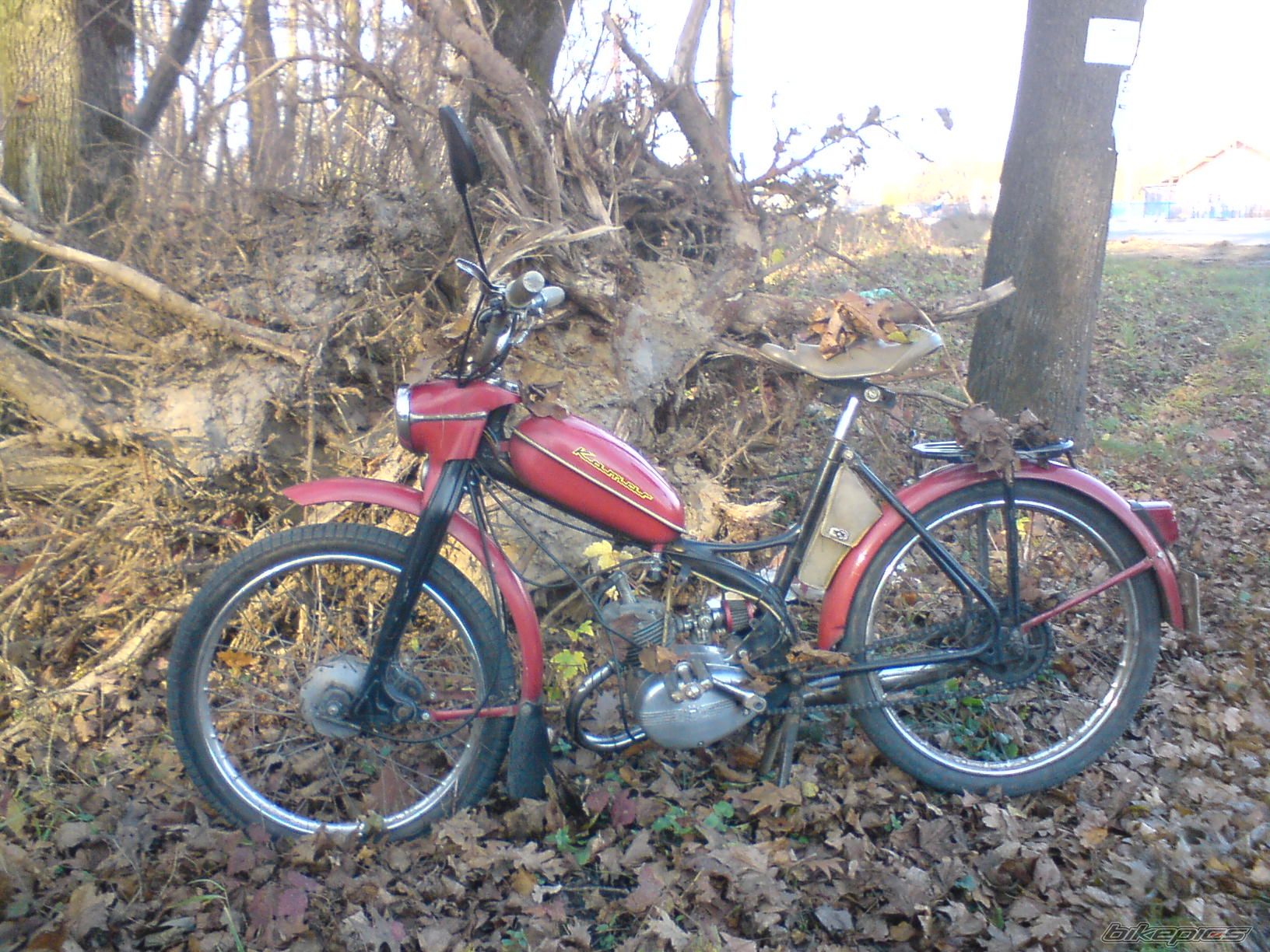 Photo 1478654
