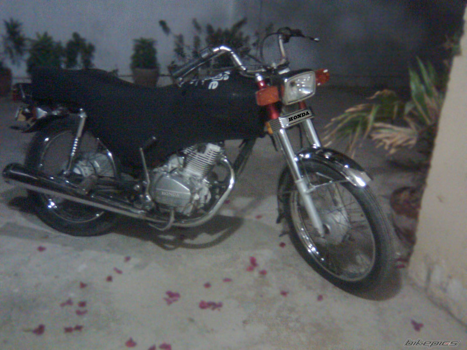 Photo 1478794