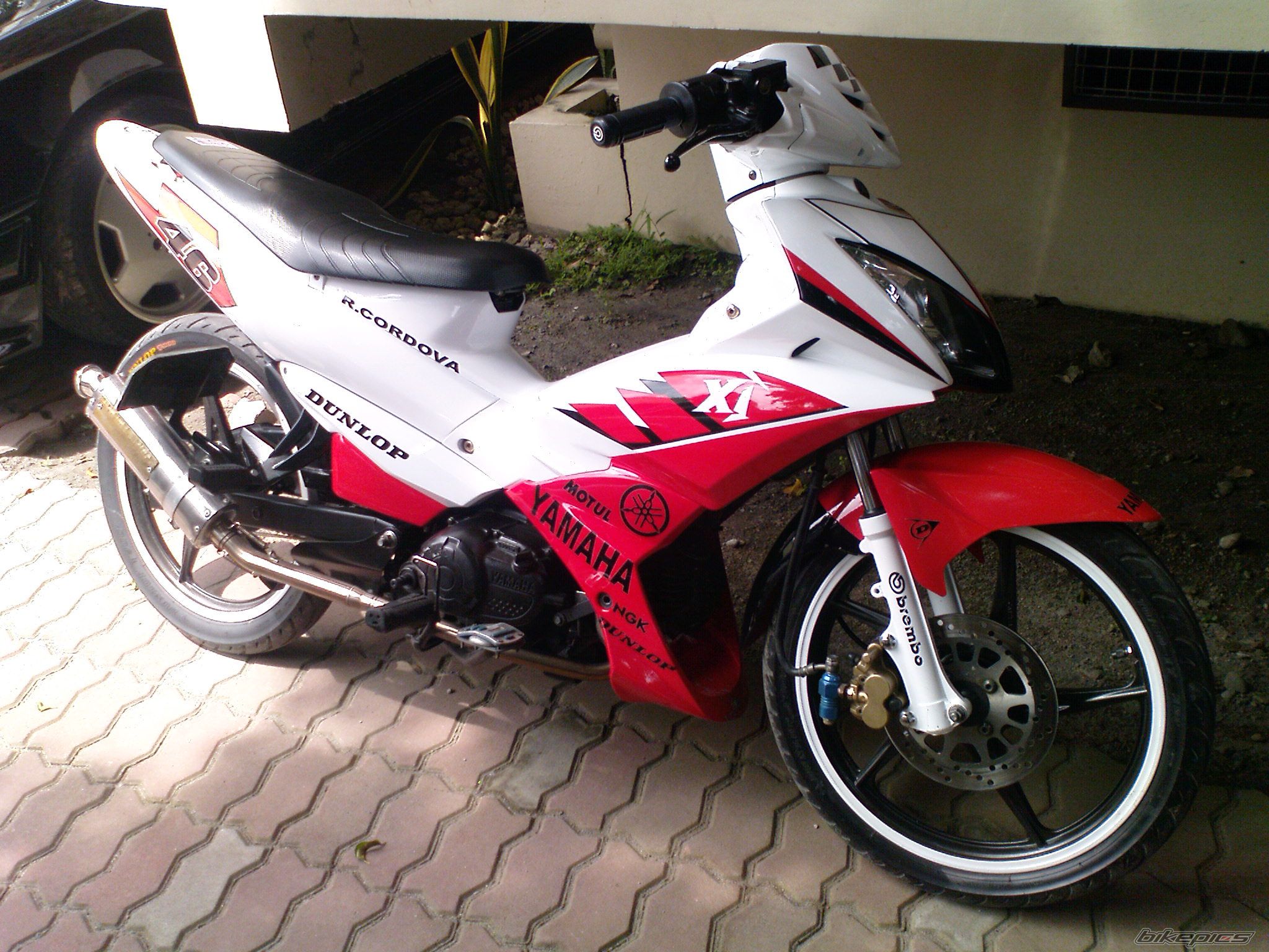 Photo 1478918